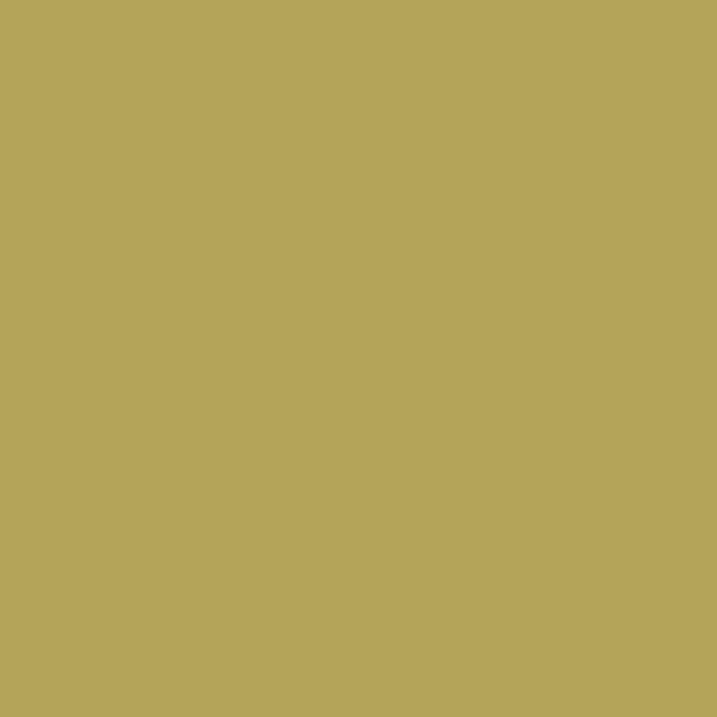 Solid deep yellow green khaki colour swatch showing Benjamin Moore Turning Leaf 384 paint colour