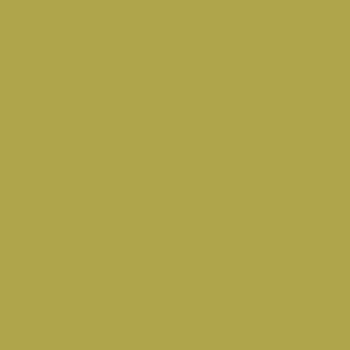 Solid deep yellow green colour swatch showing Benjamin Moore Olive Tree 392 paint colour