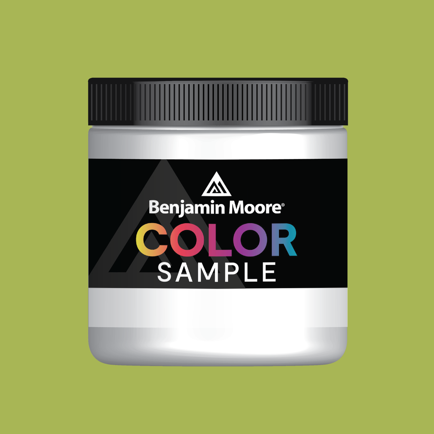Vivace (405) - Benjamin Moore