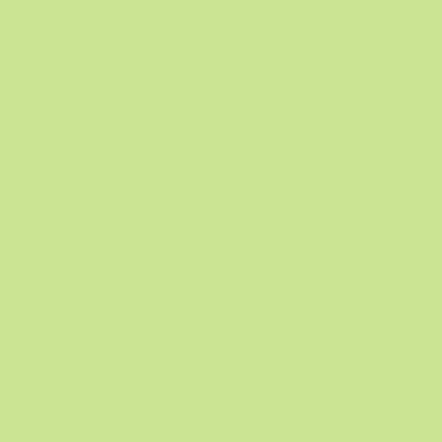Solid mid tone green colour swatch showing Benjamin Moore Celtic Folklore 411 paint colour