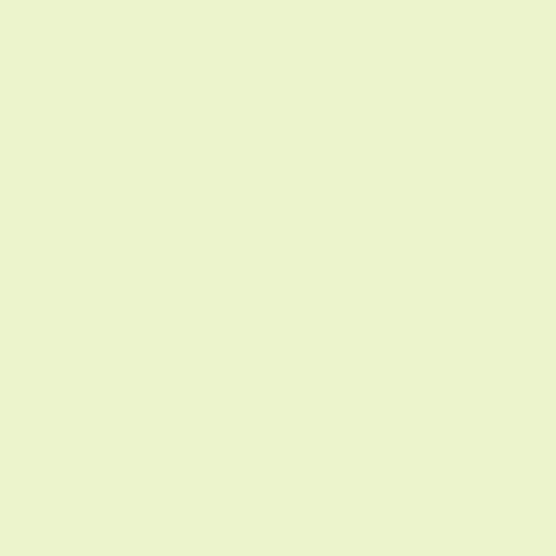 Solid pale light green colour swatch showing Benjamin Moore Wispy Green 414 paint colour