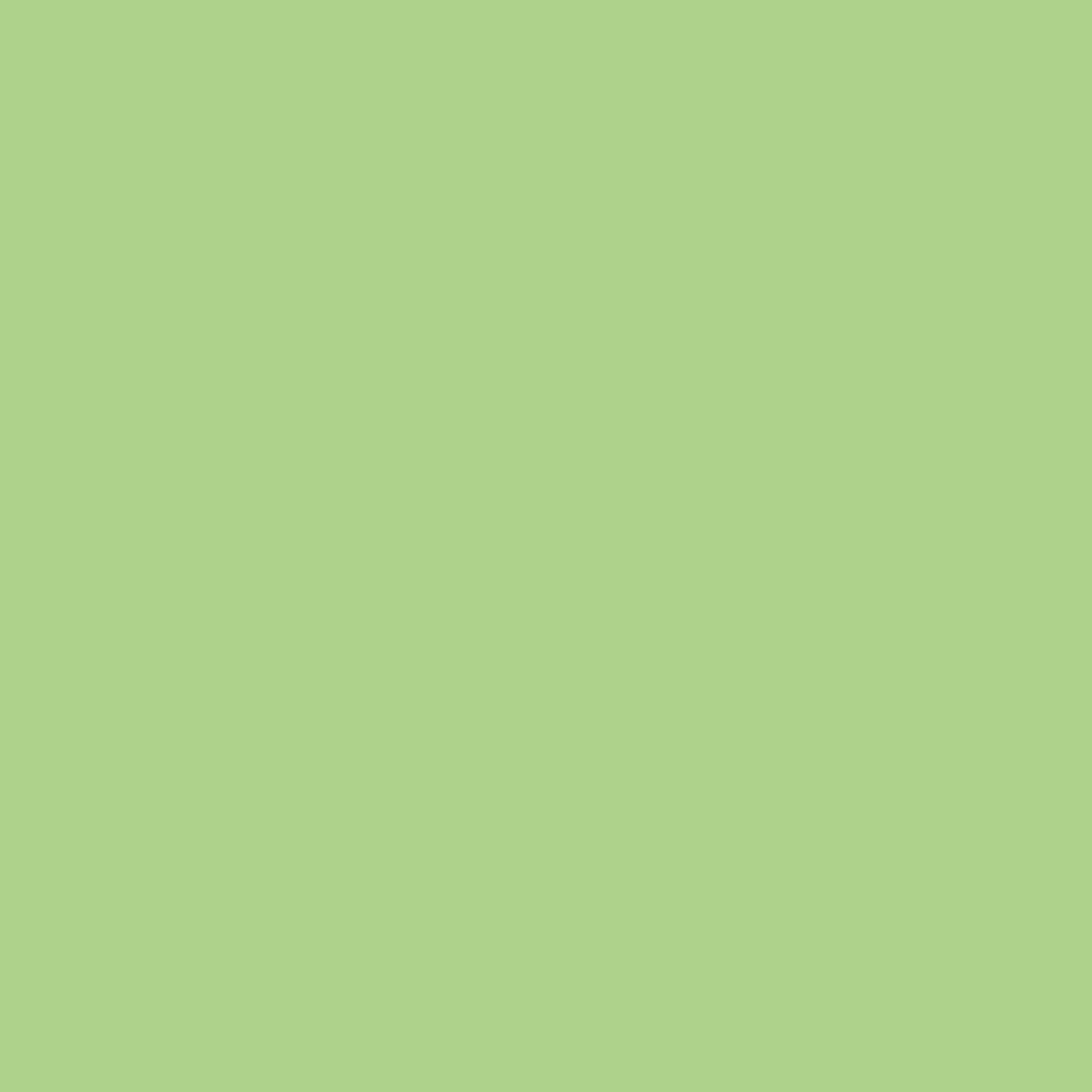 Solid mid tone lime green colour swatch showing Benjamin Moore Lime Twist 425 paint colour