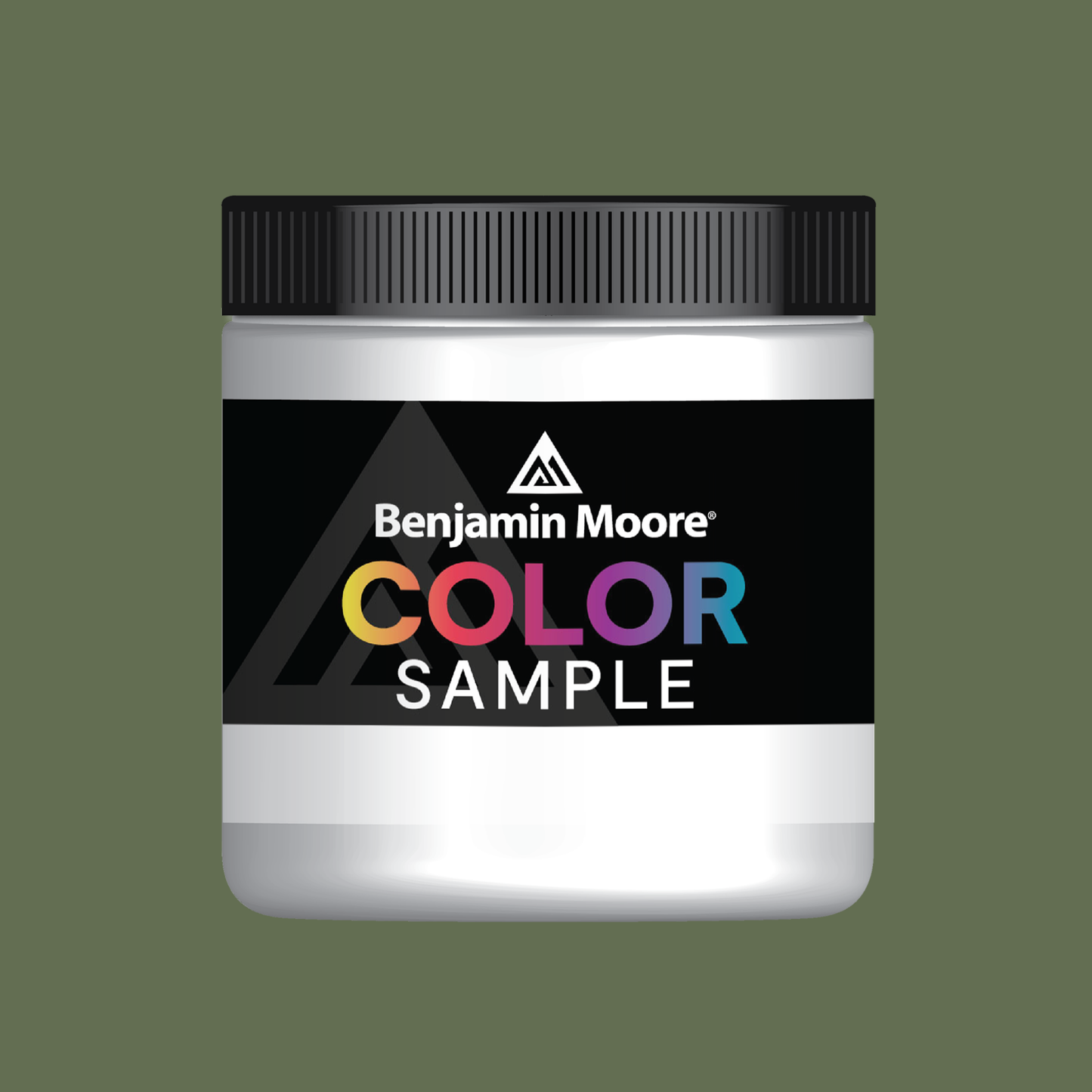 Alligator Alley (441) - Benjamin Moore