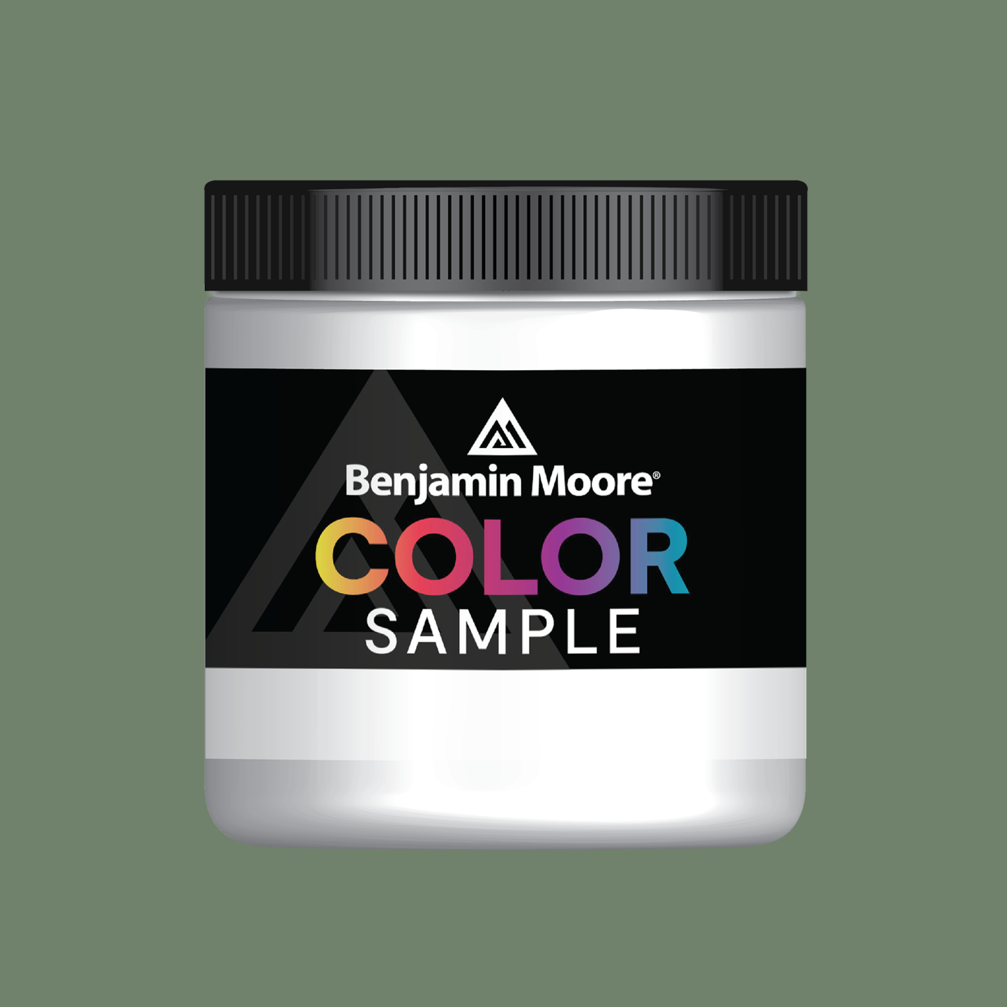 Pinelands (446) - Benjamin Moore