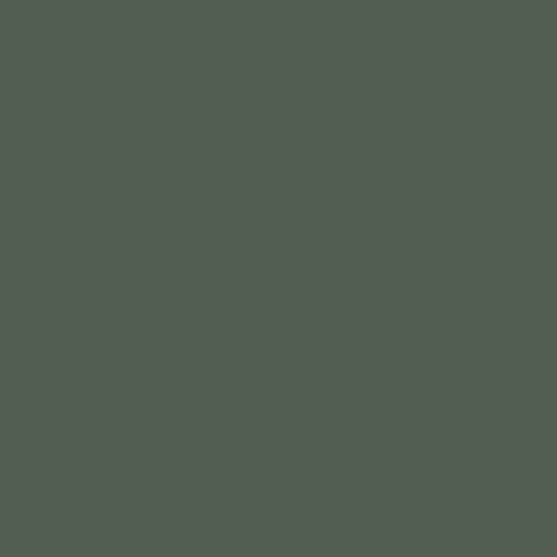 Solid dark racing green colour swatch showing Benjamin Moore Dakota Shadow 448 paint colour