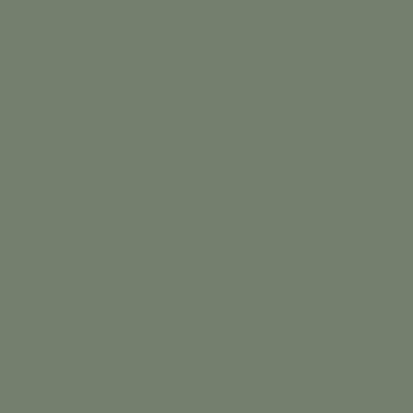 Solid deep forest green colour swatch showing Benjamin Moore Cambridge Green 468 paint colour