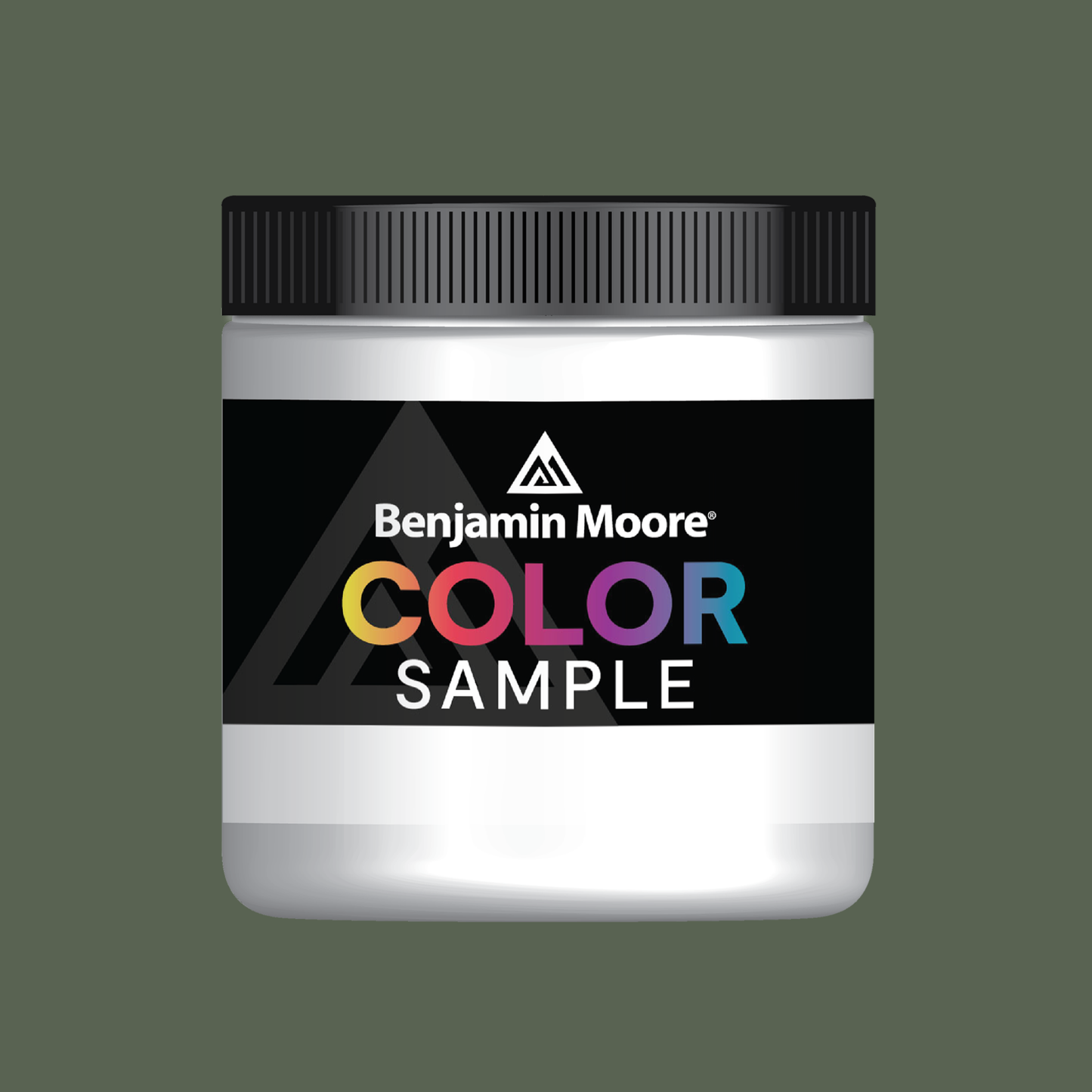 Backwoods (469) - Benjamin Moore