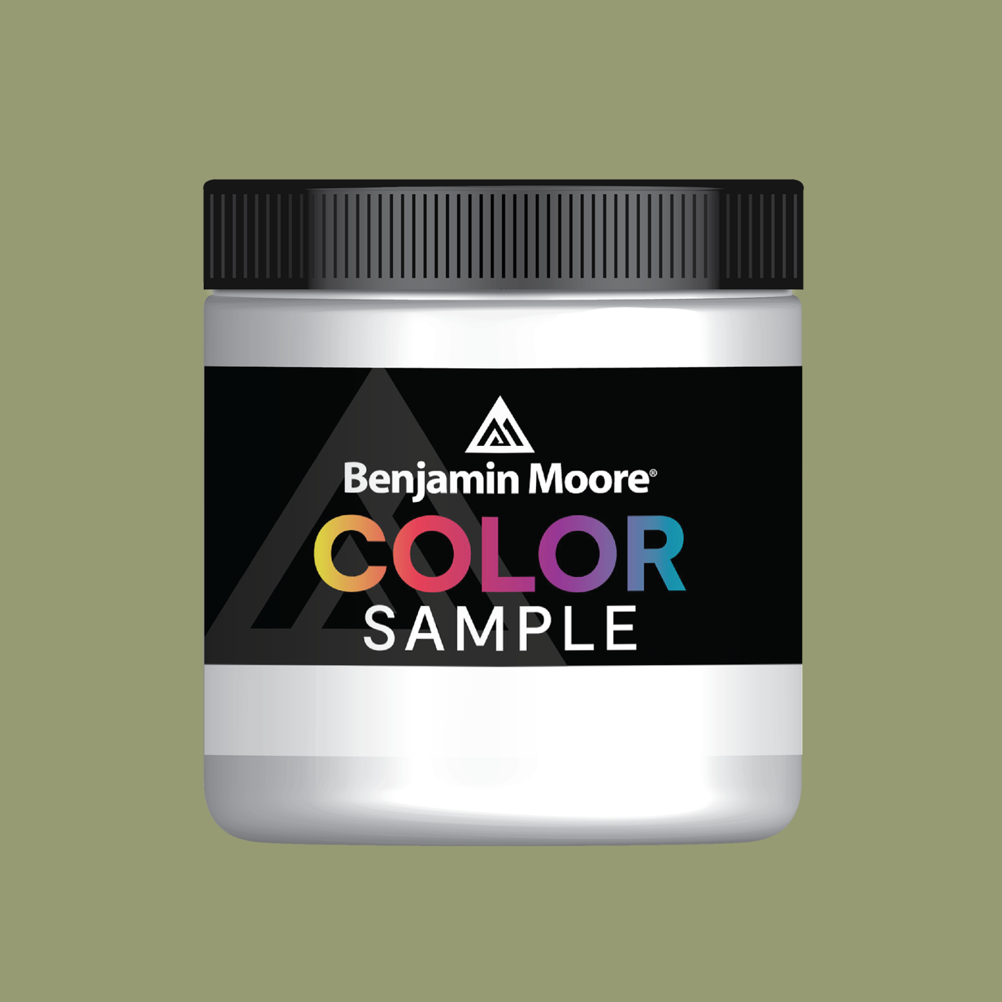 Fougère voilée (482) - Benjamin Moore