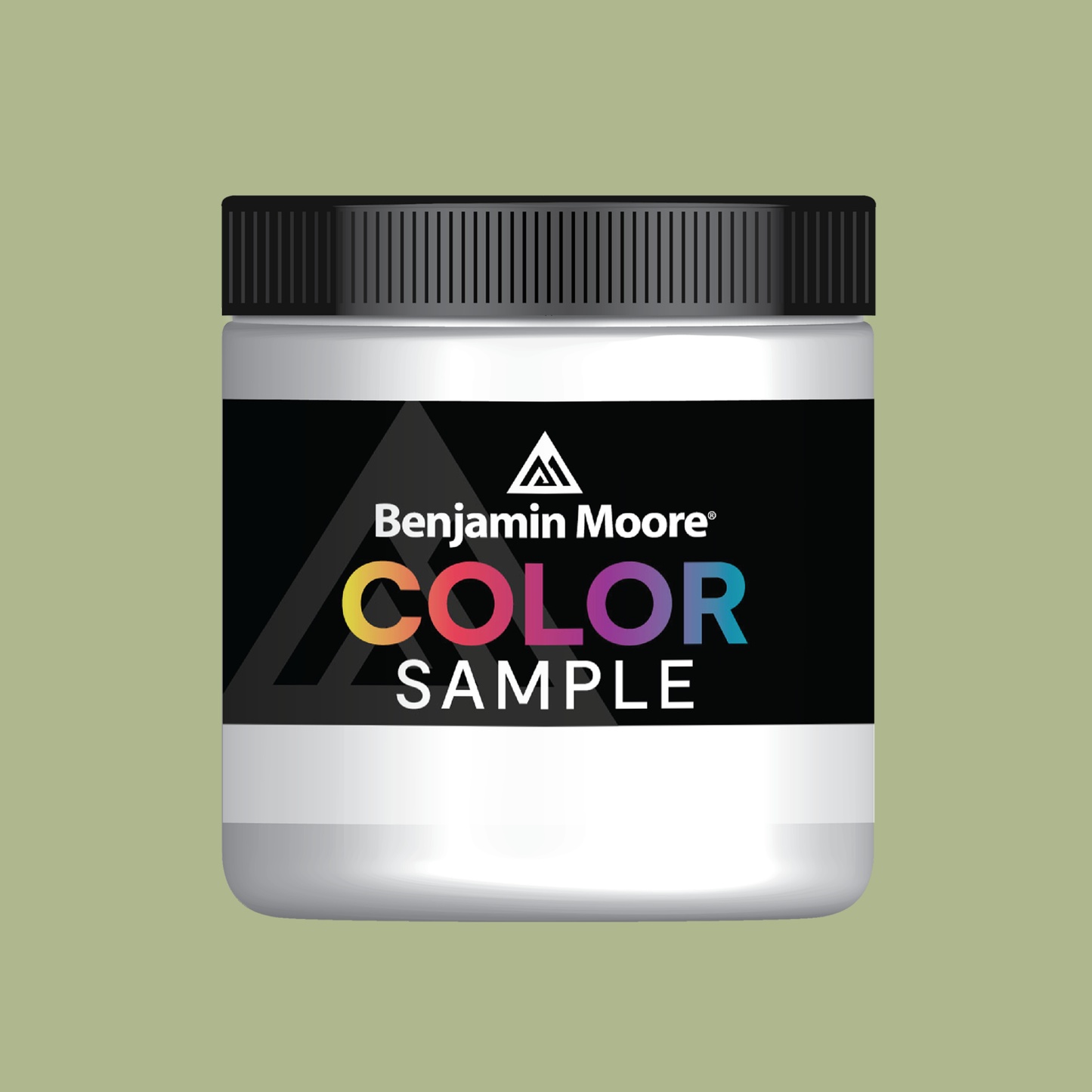 Liberty Park (487) - Benjamin Moore