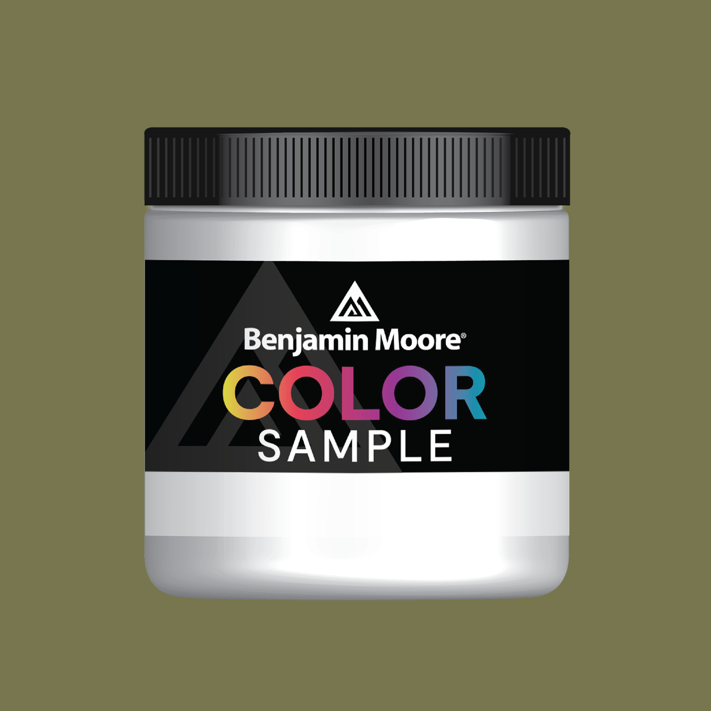 Shady Lane (497) - Benjamin Moore