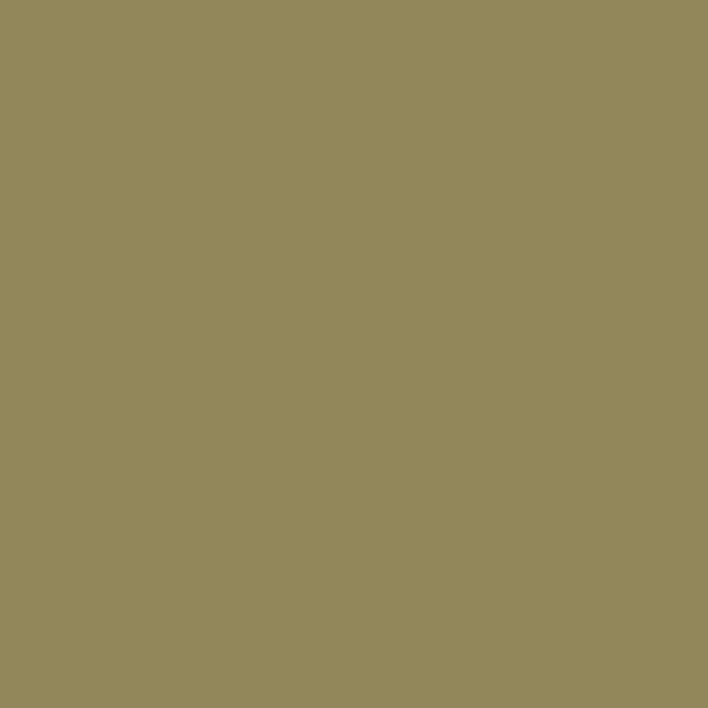 Solid deep brown green colour swatch showing Benjamin Moore Savannah Shade 525 paint colour