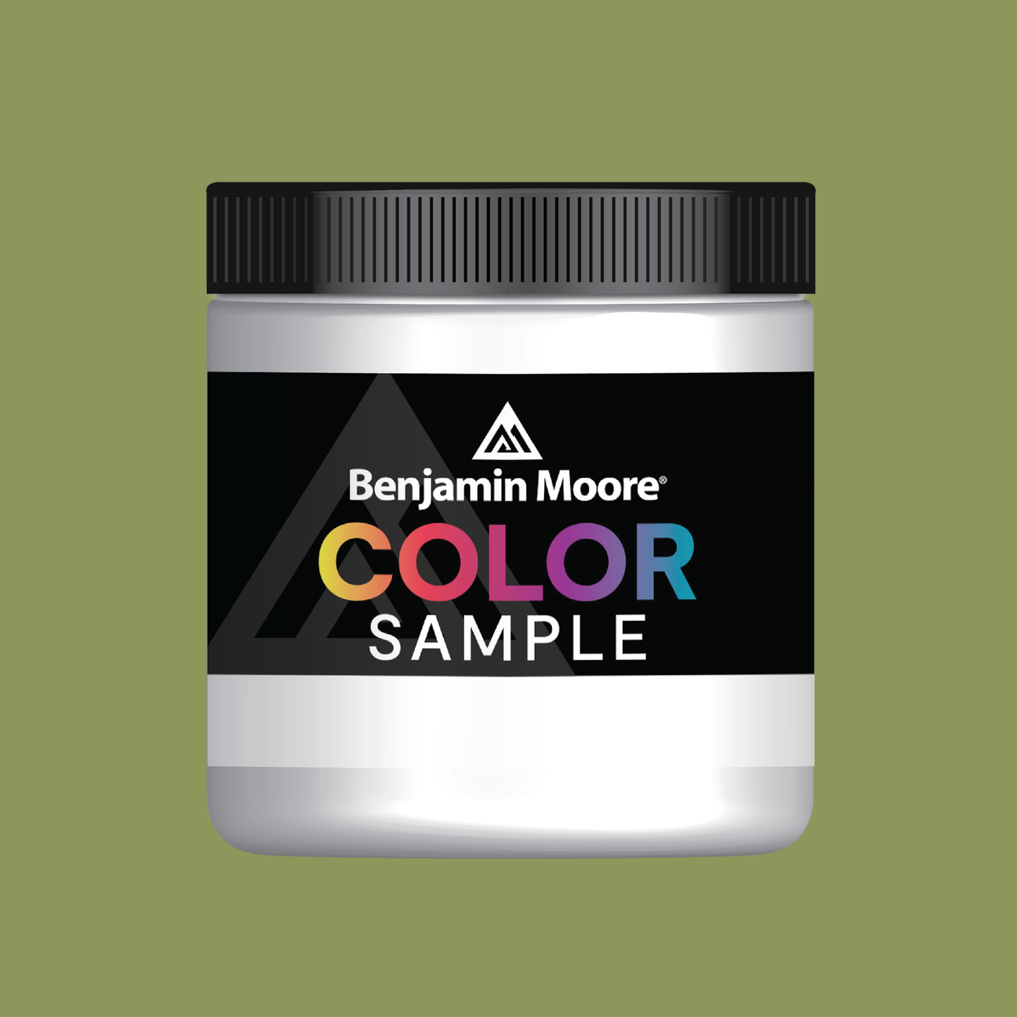 Sycamore Tree (539) - Benjamin Moore
