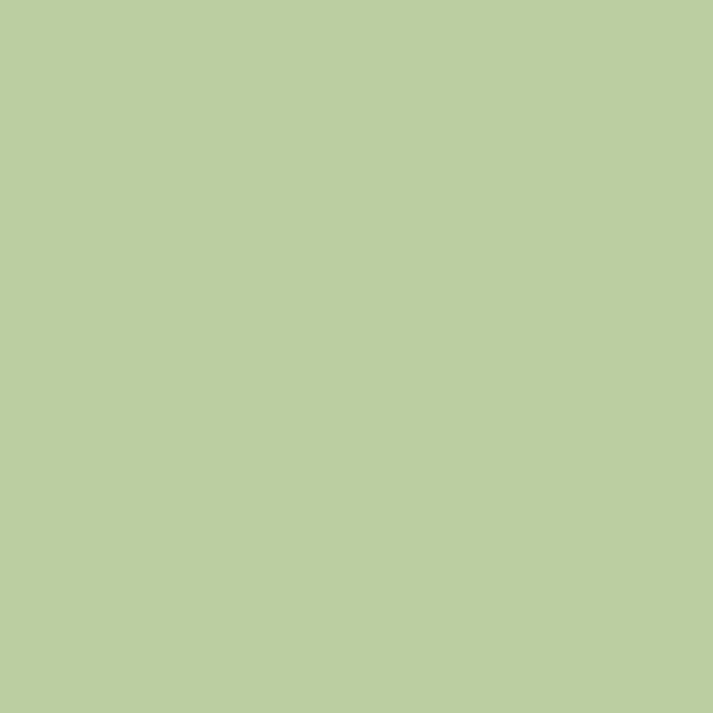 Solid mid tone green colour swatch showing Benjamin Moore Corn Stalk 542 paint colour