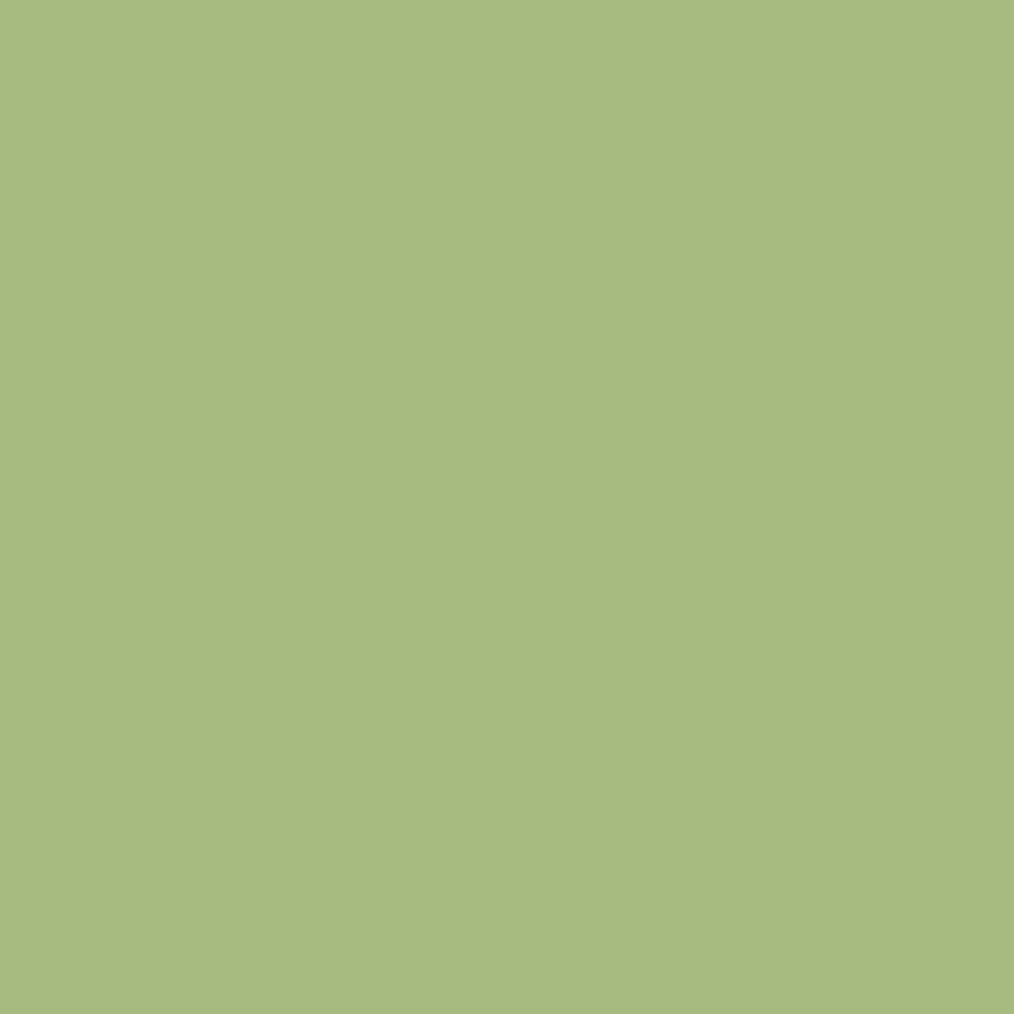 Solid mid tone green colour swatch showing Benjamin Moore Woodland Hills Green 543 paint colour