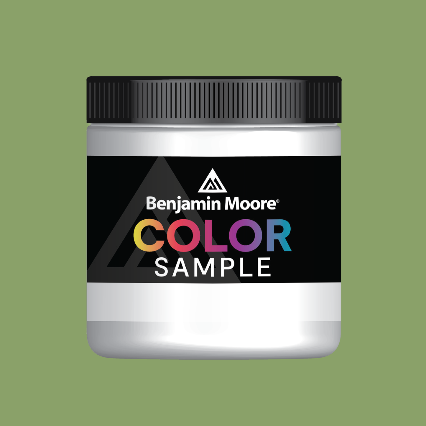 Buckingham Gardens (545) - Benjamin Moore