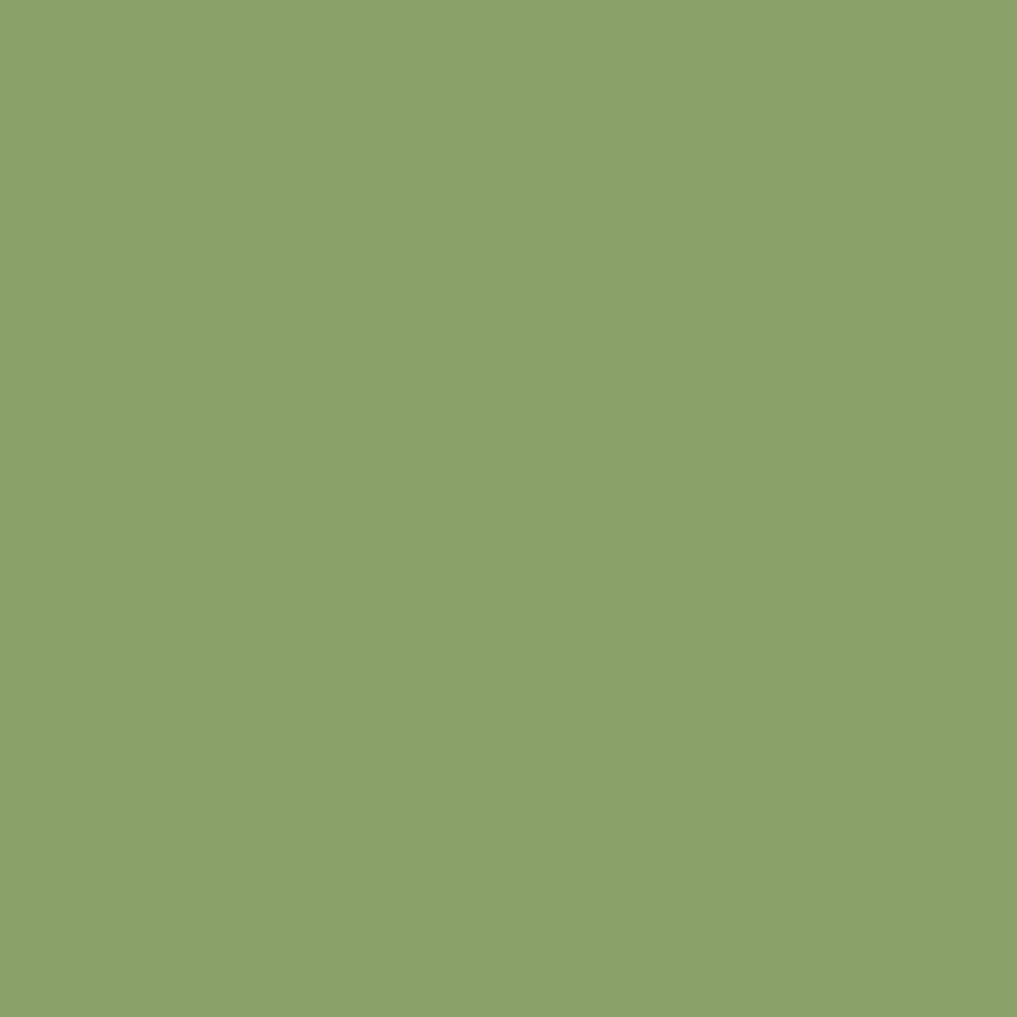 Solid deep green colour swatch showing Benjamin Moore Buckingham Gardens 545 paint colour