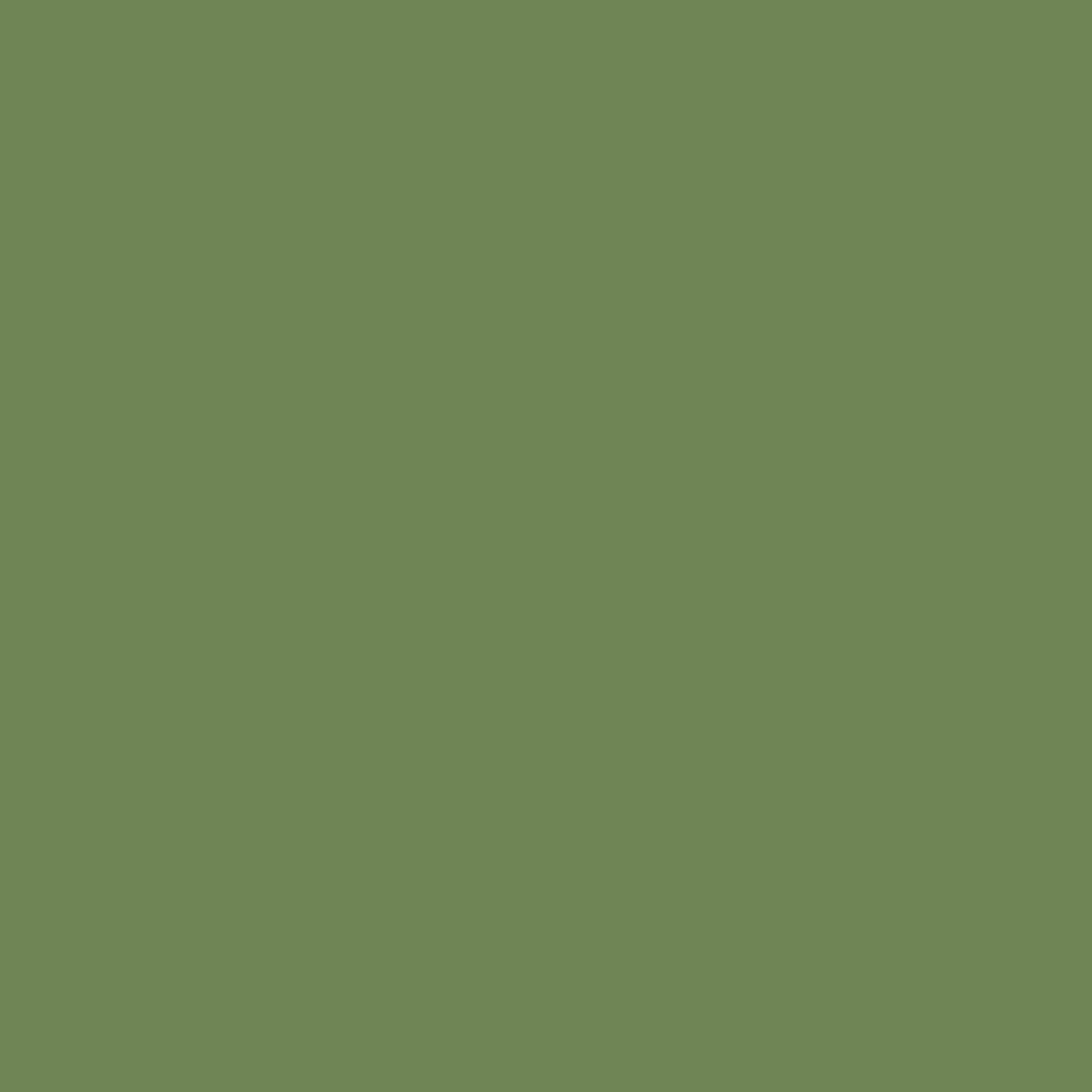Solid deep green colour swatch showing Benjamin Moore Courtyard Green 546 paint colour