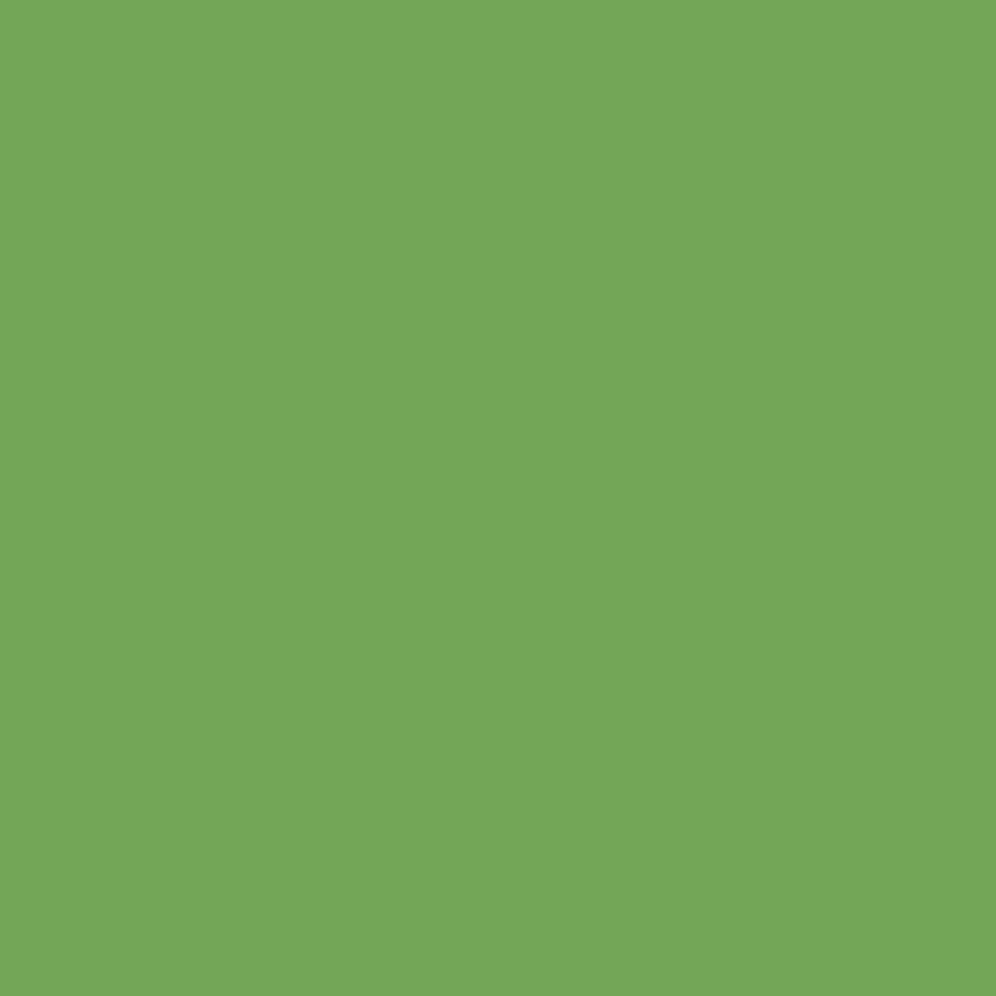 Solid deep green colour swatch showing Benjamin Moore Pleasant Grove 552 paint colour