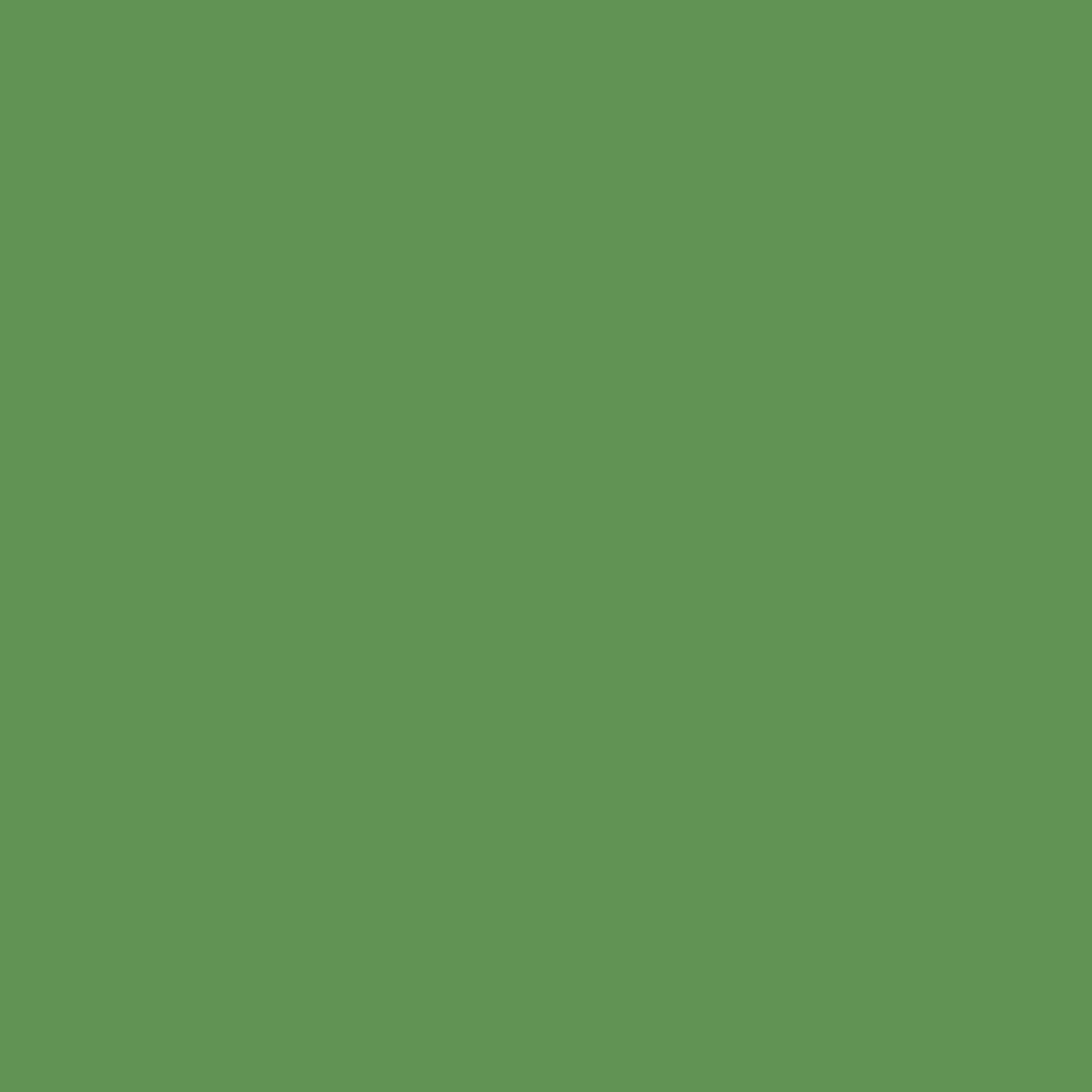 Solid deep green colour swatch showing Benjamin Moore Richmond Green 553 paint colour