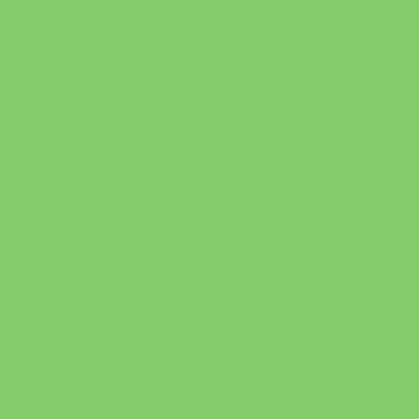 Solid deep parrot green colour swatch showing Benjamin Moore Killala Green 558 paint colour