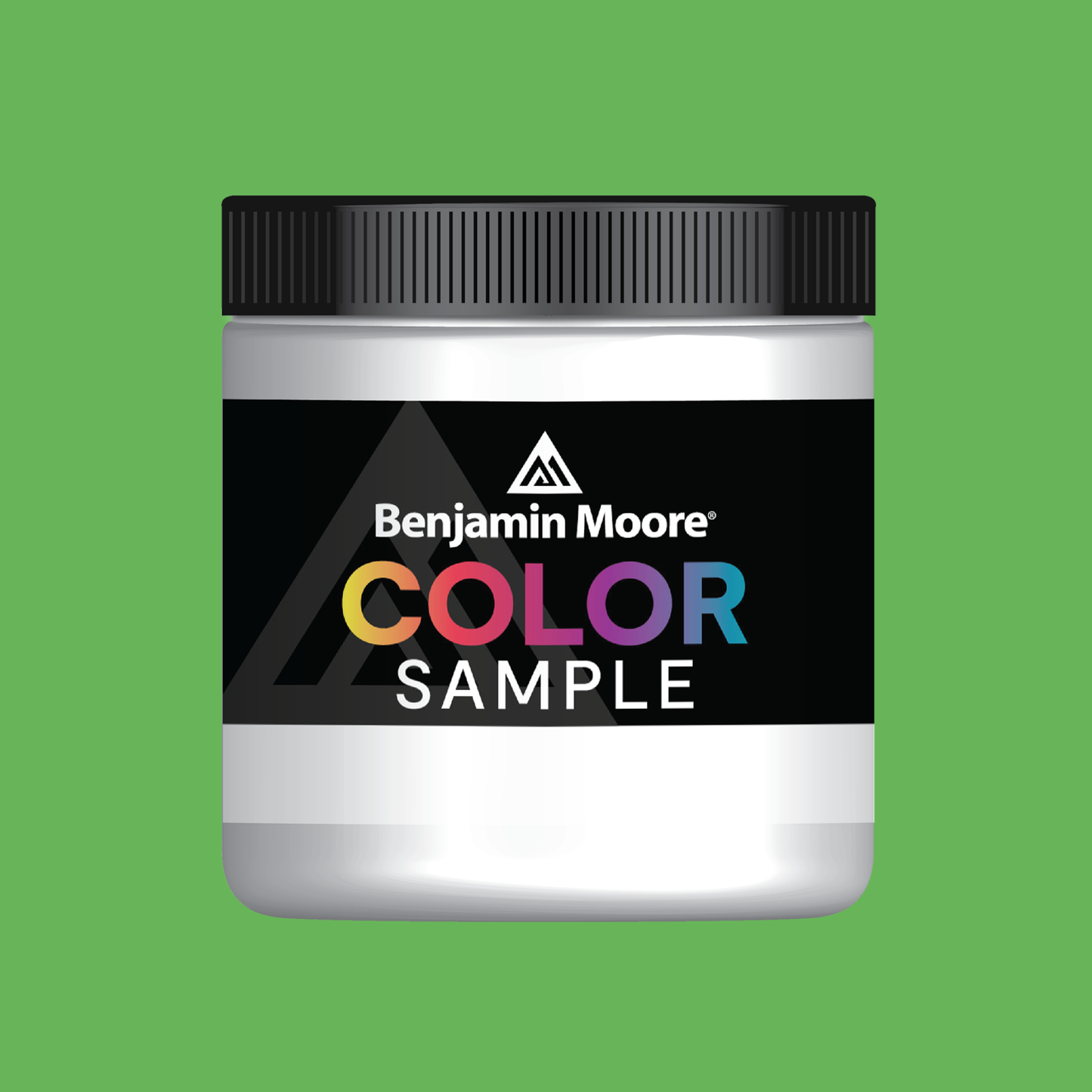 Paradise Valley (559) - Benjamin Moore