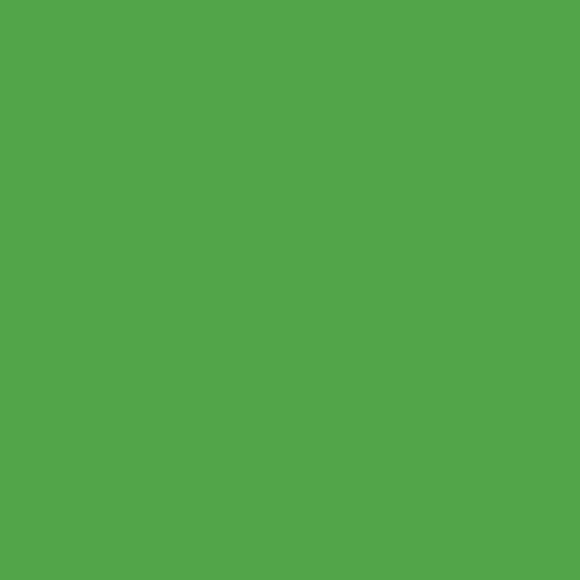 Solid deep green colour swatch showing Benjamin Moore Sullivan Green 560 paint colour