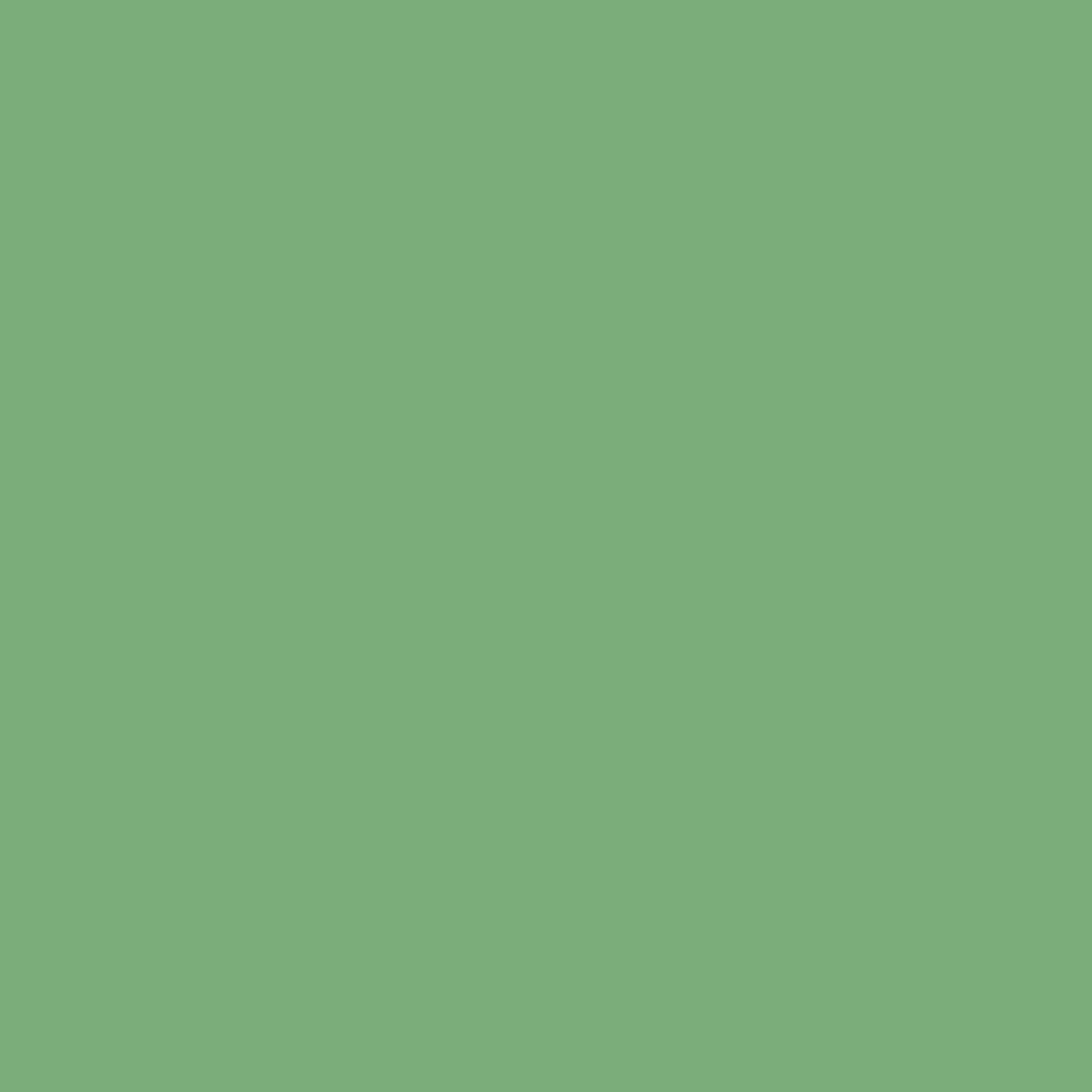 Solid mid tone green colour swatch showing Benjamin Moore Aurora Borealis 565 paint colour