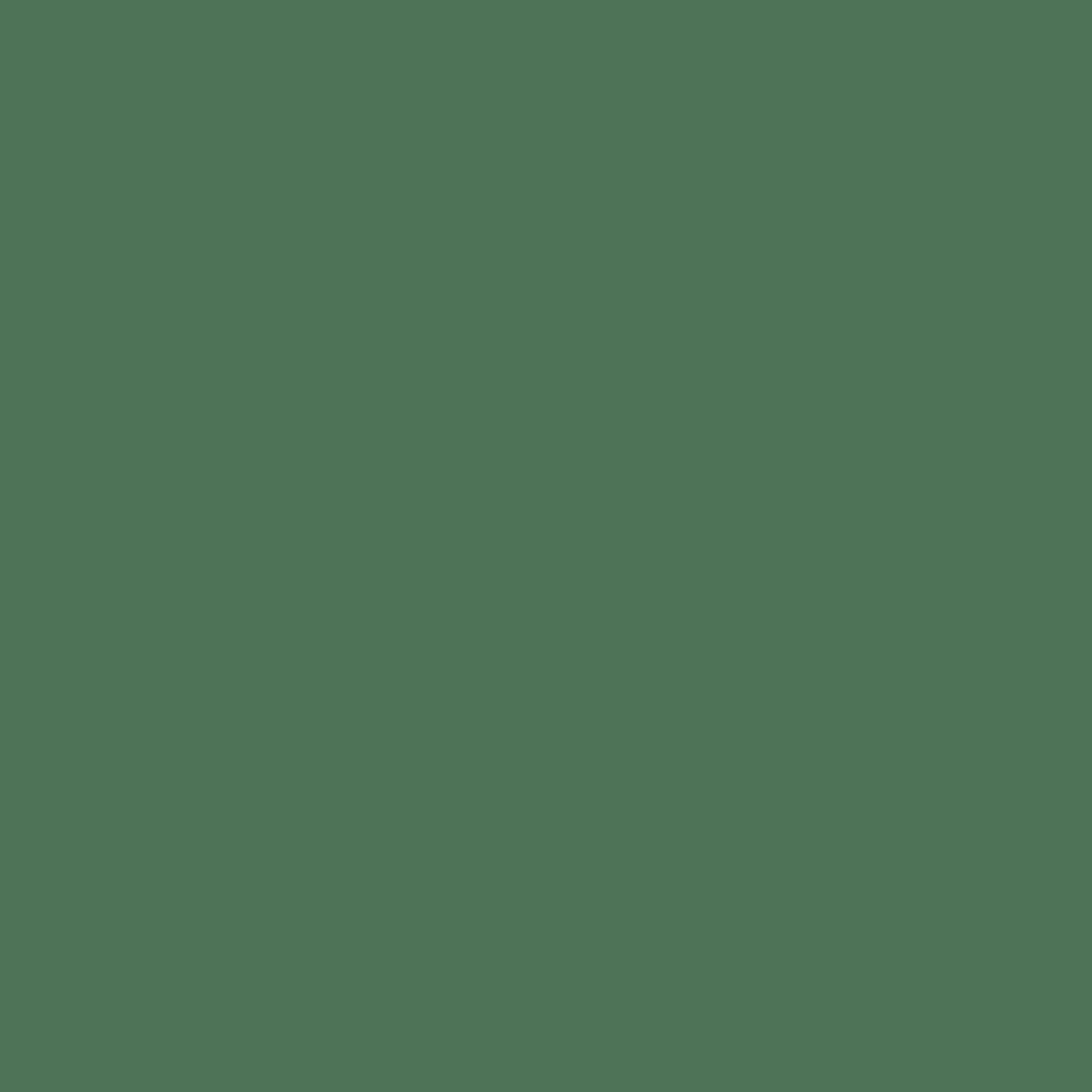 Solid dark green colour swatch showing Benjamin Moore Balsam 567 paint colour