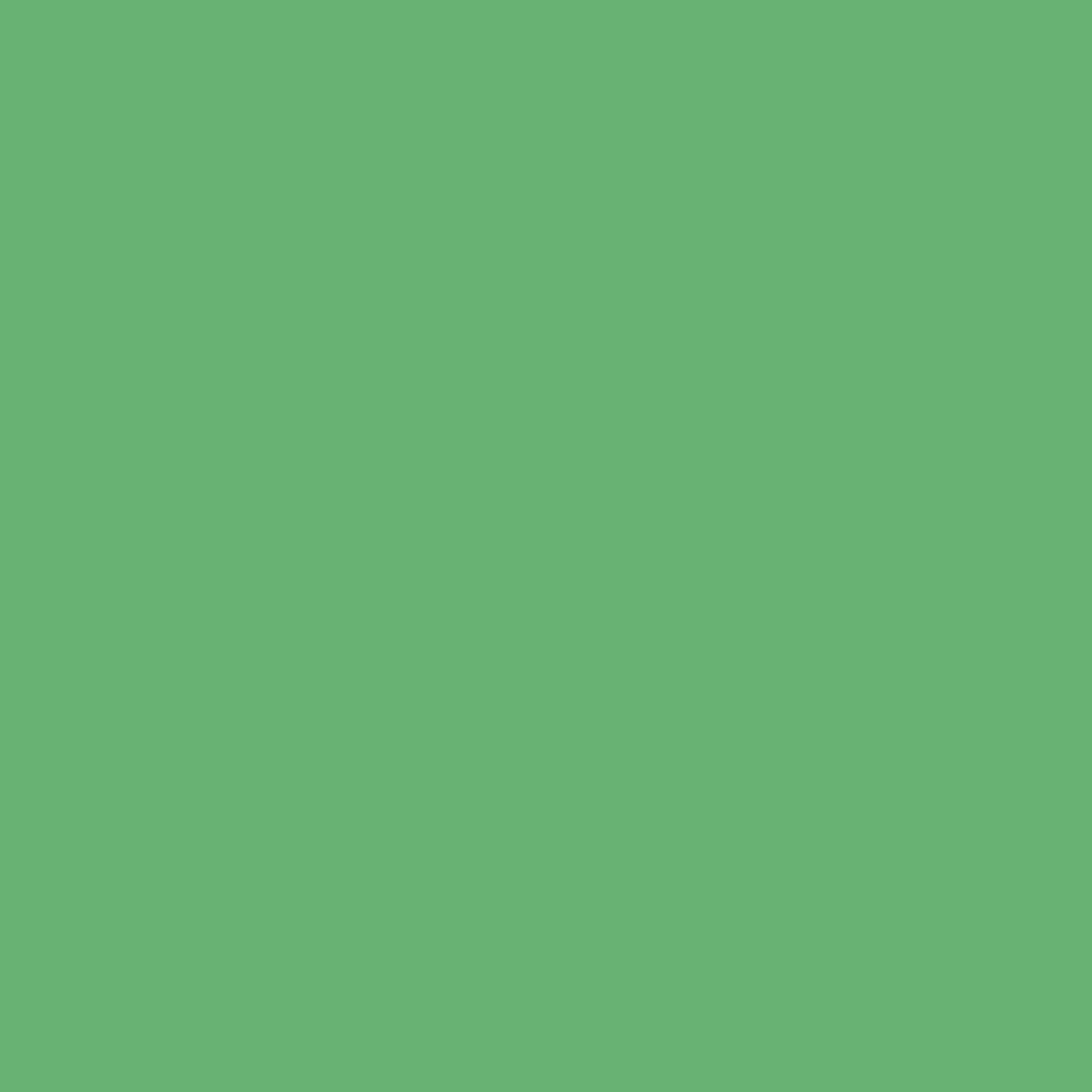 Solid deep green colour swatch showing Benjamin Moore Four Leaf Clover 573 paint colour