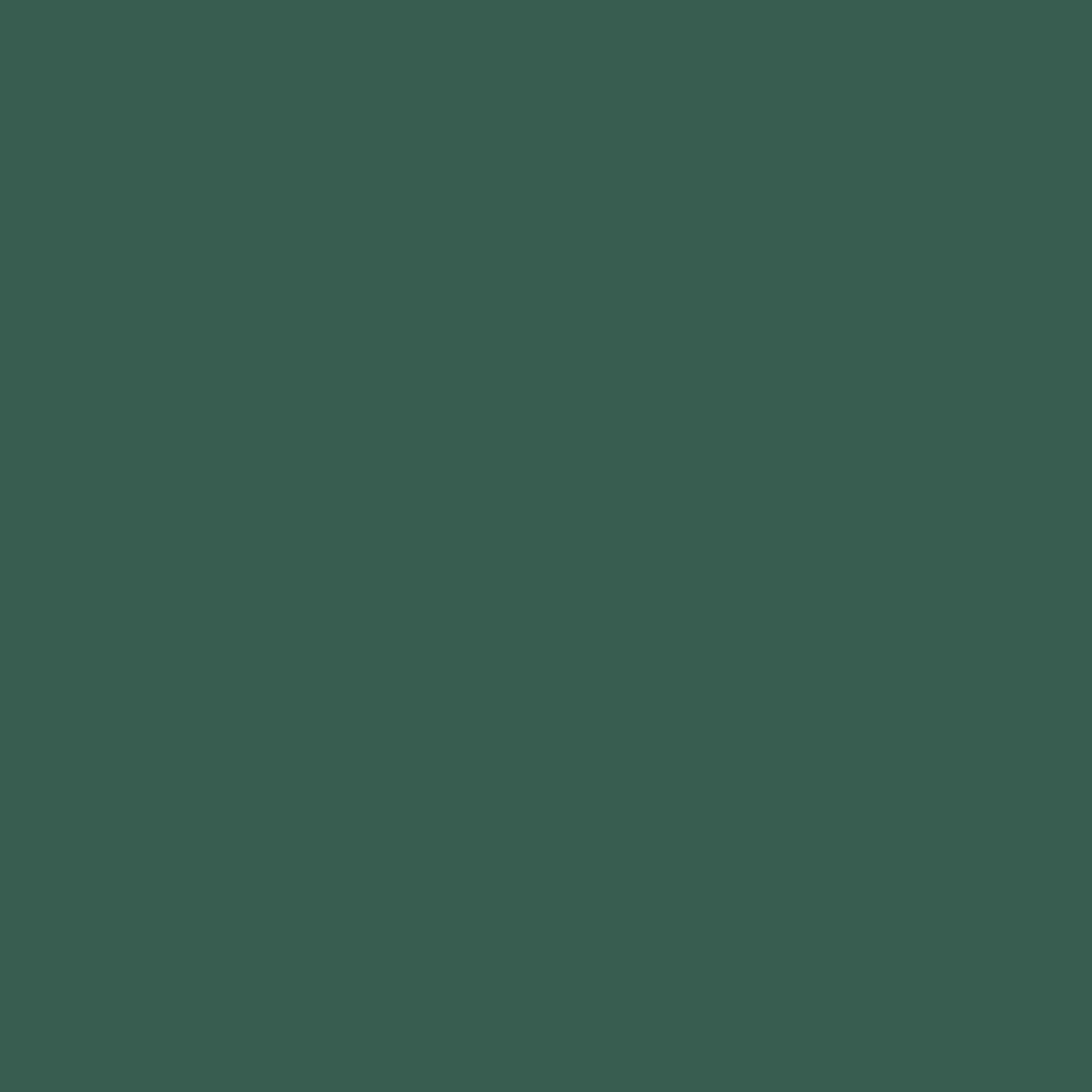 Solid deep dark green colour swatch showing Benjamin Moore Gondola Ride 602 paint colour