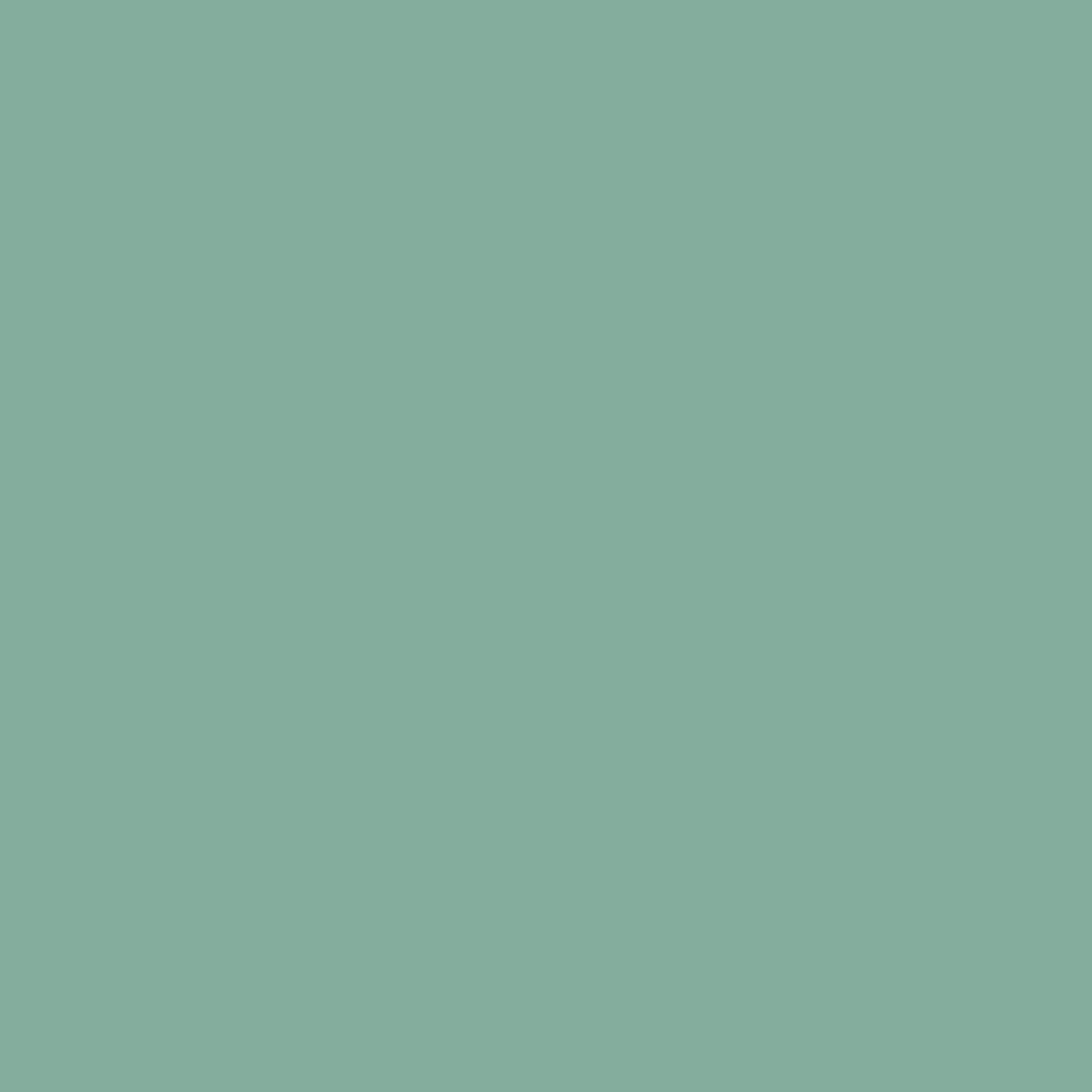 Solid mid tone green colour swatch showing Benjamin Moore Everglades 641 paint colour