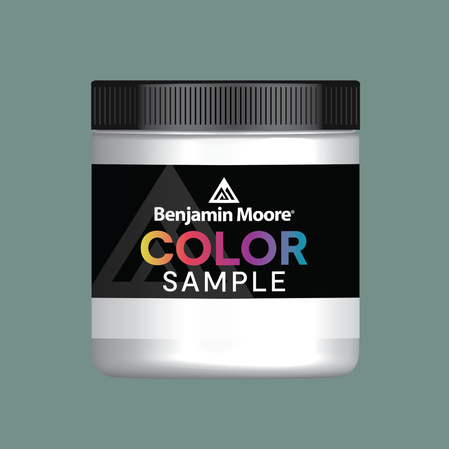 Dartsmouth Green (691) - Benjamin Moore