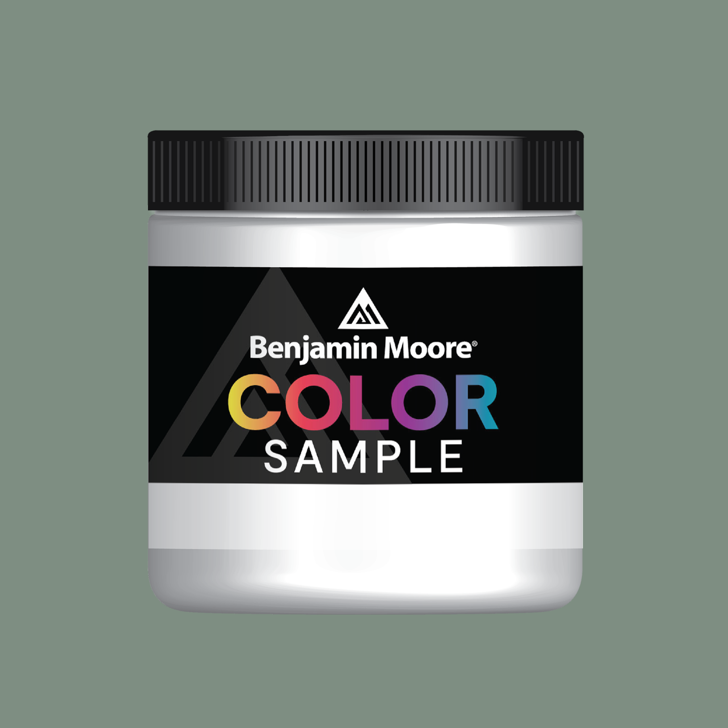 Oasis Jardin (699) - Benjamin Moore