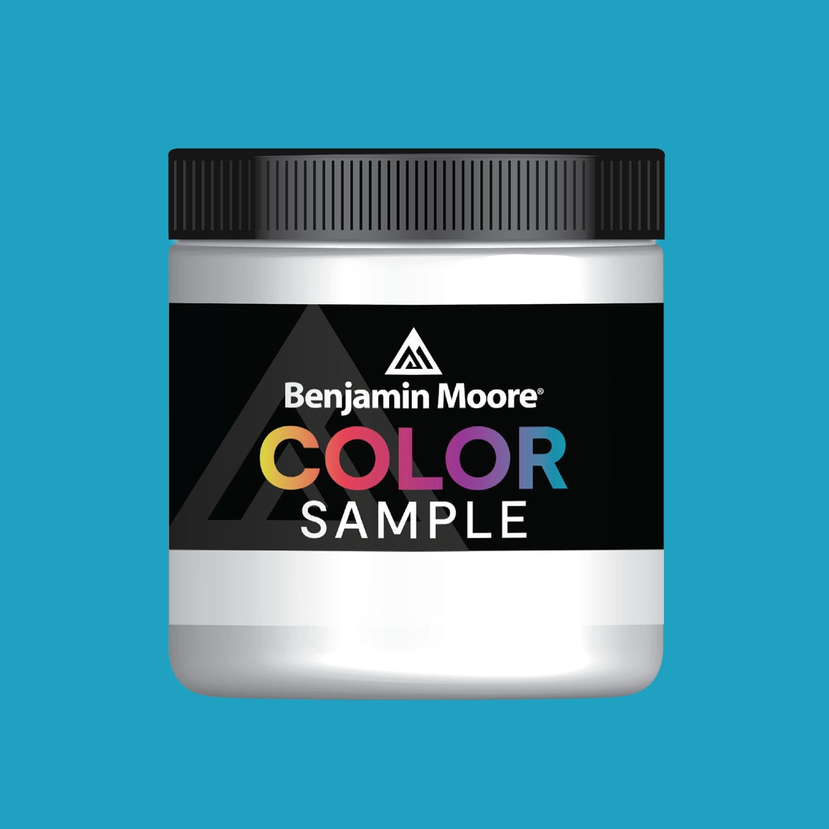 Dream I Can Fly (769) - Benjamin Moore