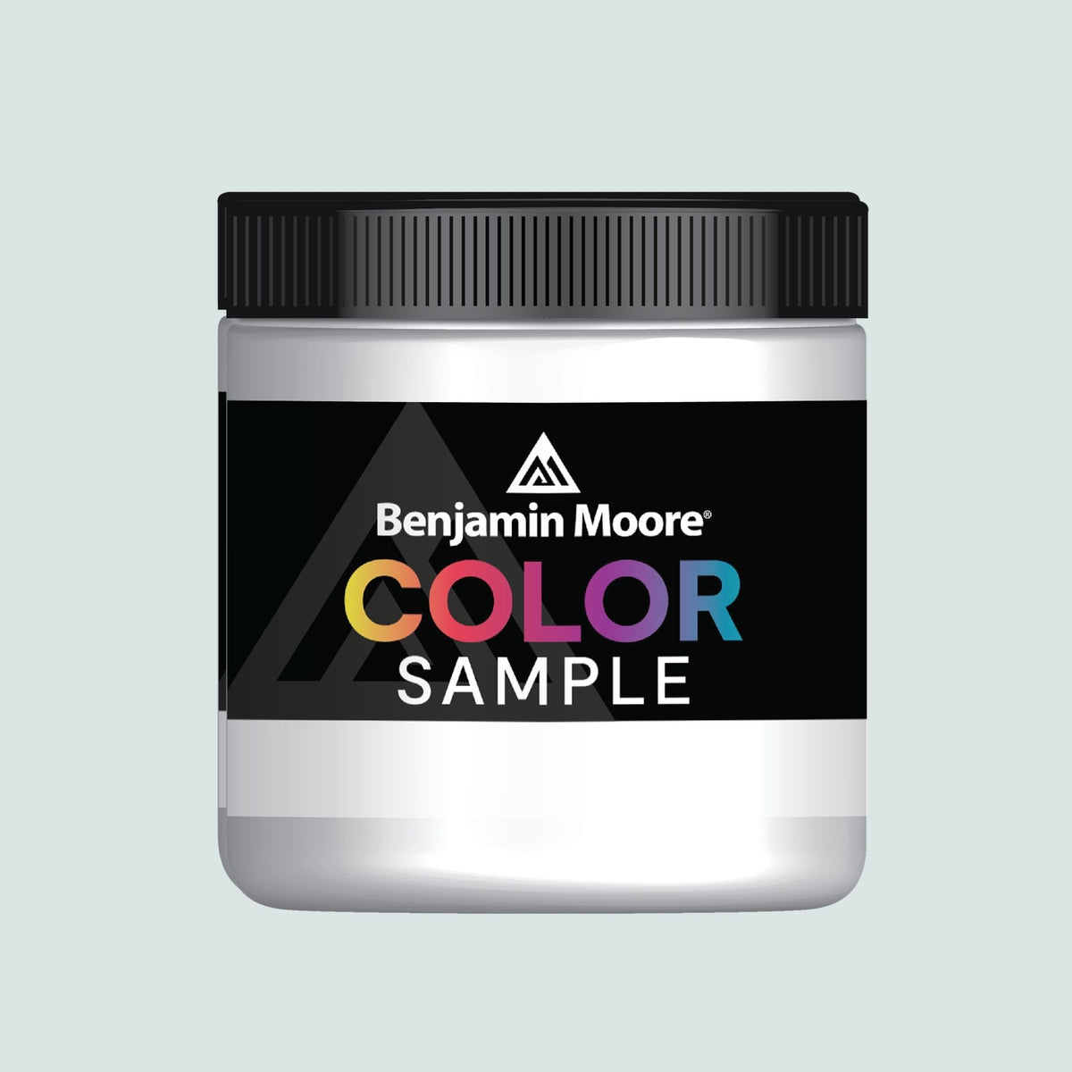 Winter Ice (866) - Benjamin Moore