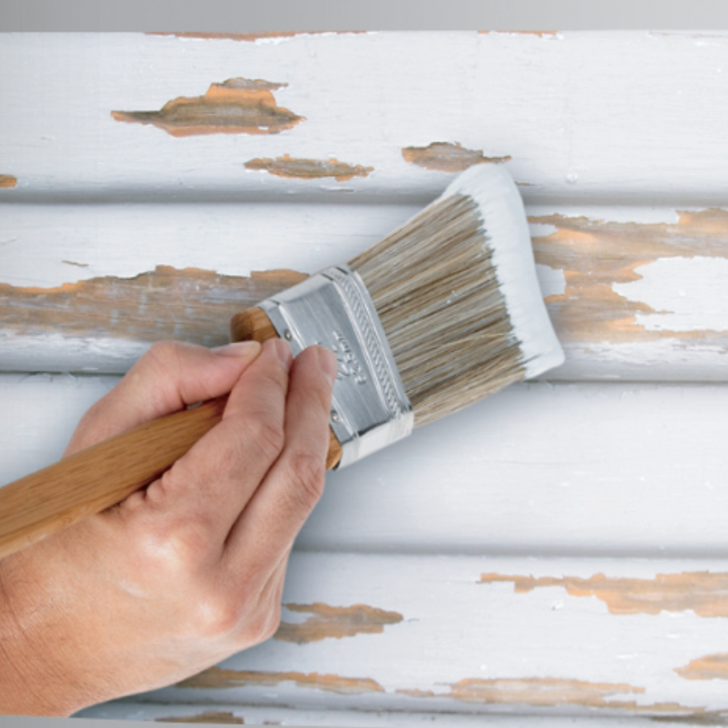 Benjamin Moore High Build Peel Bonding Primer (Gallon)