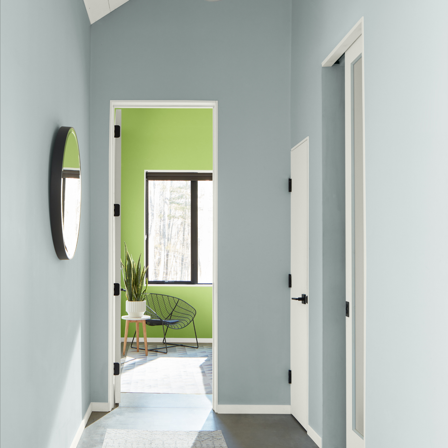 Benjamin Moore Regal Select Interior Eggshell