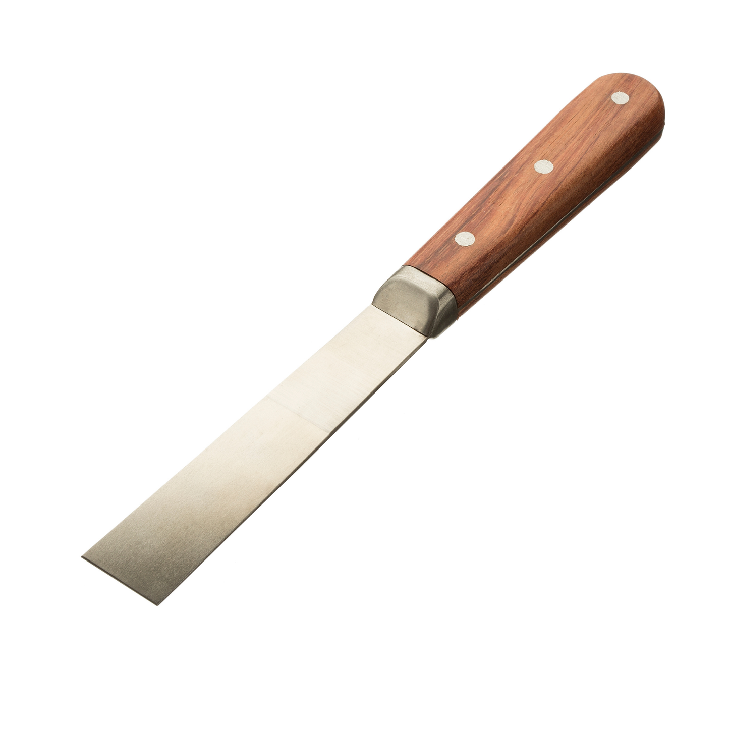 CORAL ELITE STAINLESS STEEL CHISEL KNIFE 1" (25MM)