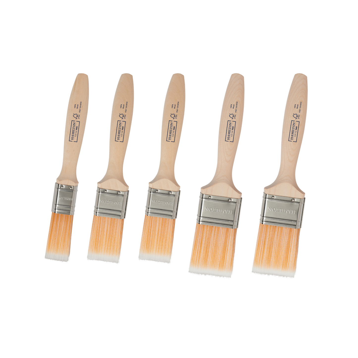 HAMILTON FOR THE TRADE - FINE TIP FLAT BRUSHES 5 PACK