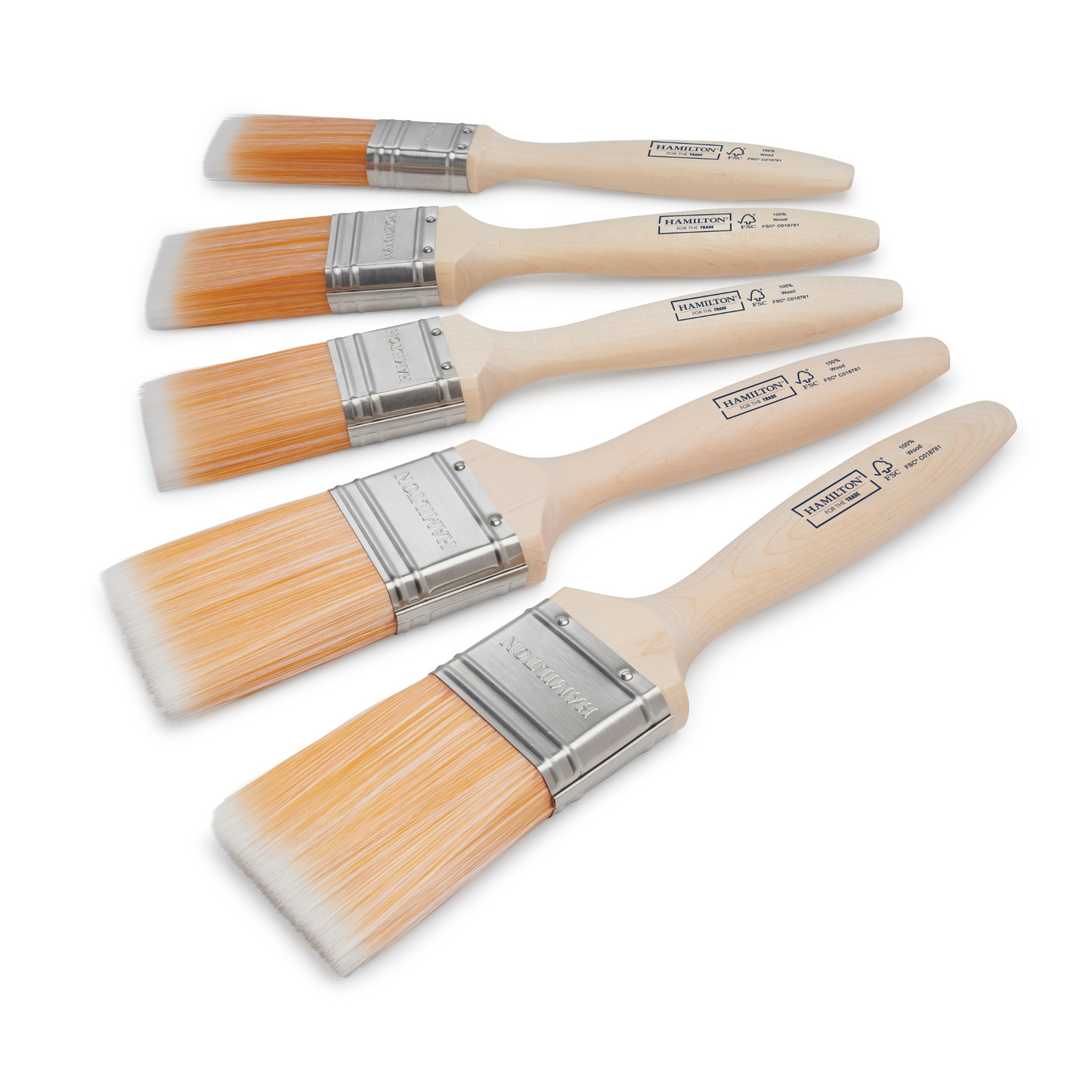 HAMILTON FOR THE TRADE - FINE TIP FLAT BRUSHES 5 PACK