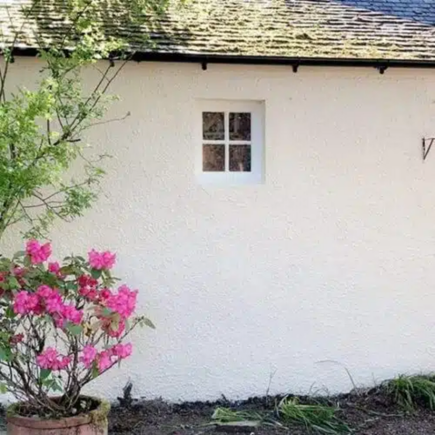 Owatrol E-B (Emulsa Bond) 1L