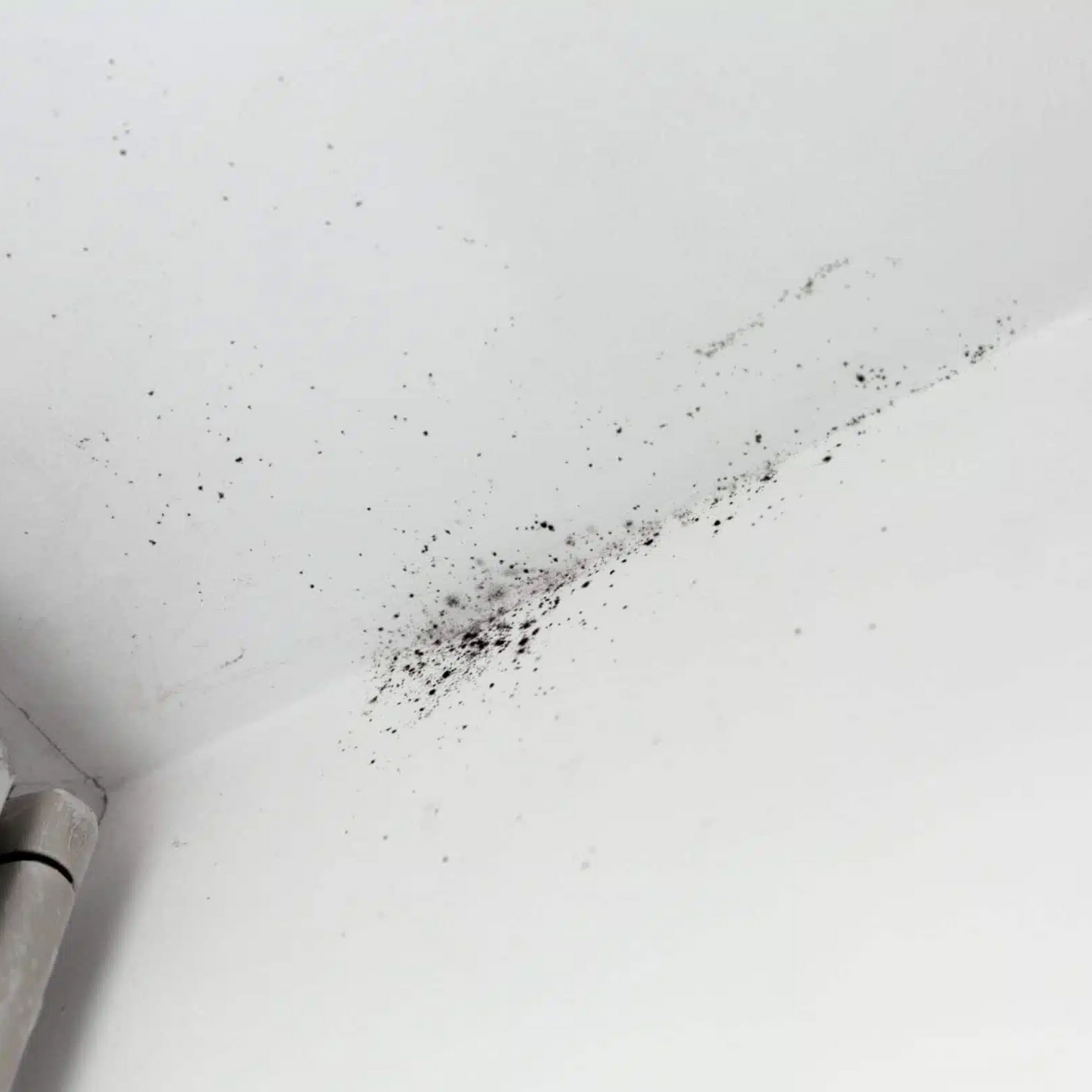 Owatrol VC175 Mould Stop 50ml