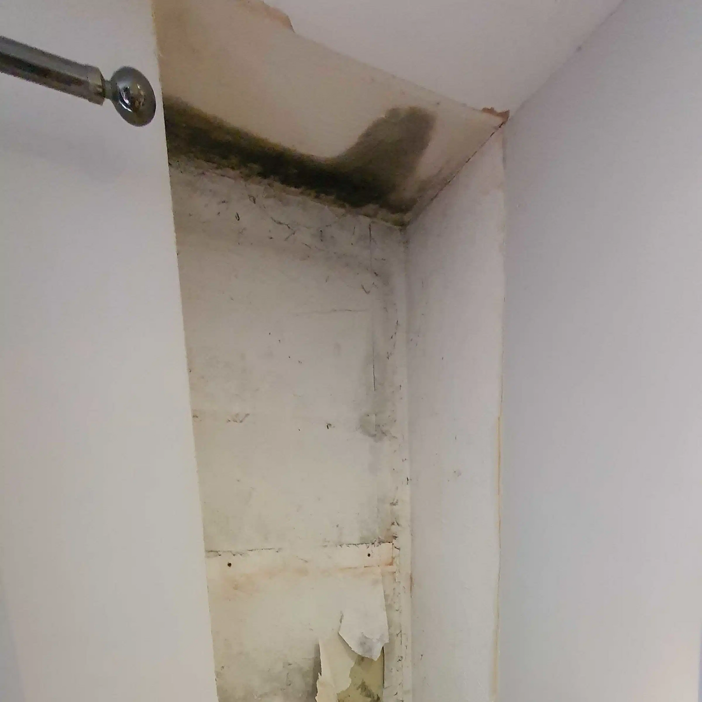 Owatrol VC175 Mould Stop 50ml