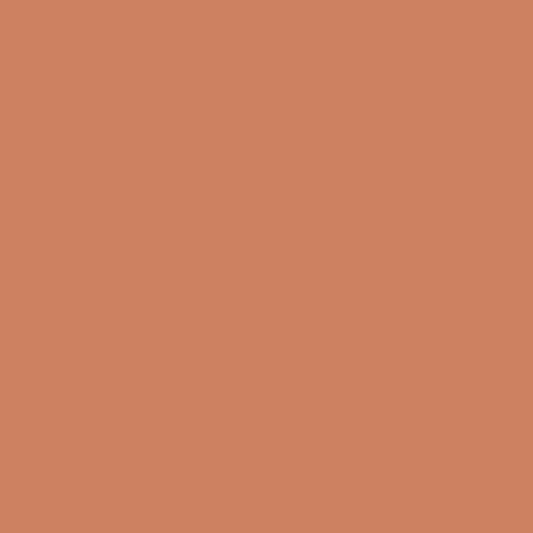 Frosted Papaya - Dulux / Armstead