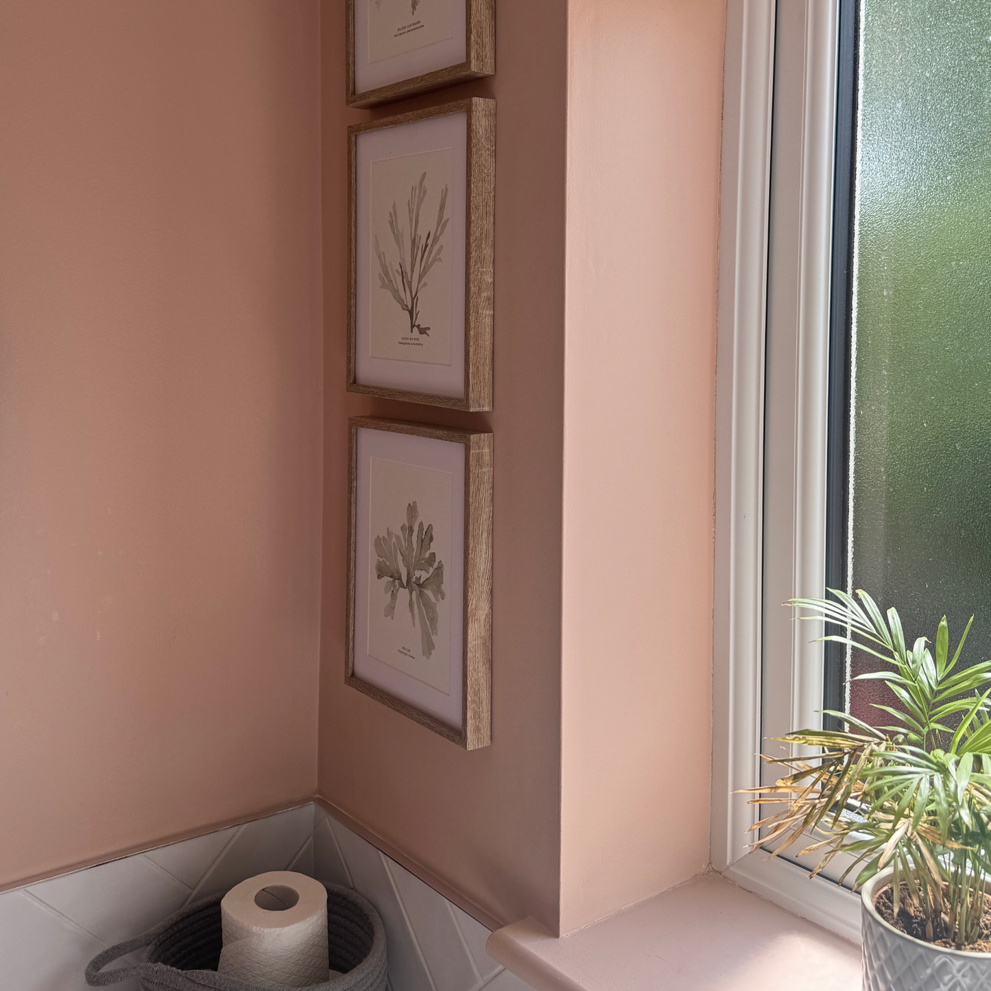 Hanford & Green Acrylic Low Sheen Paint White - 7% Sheen