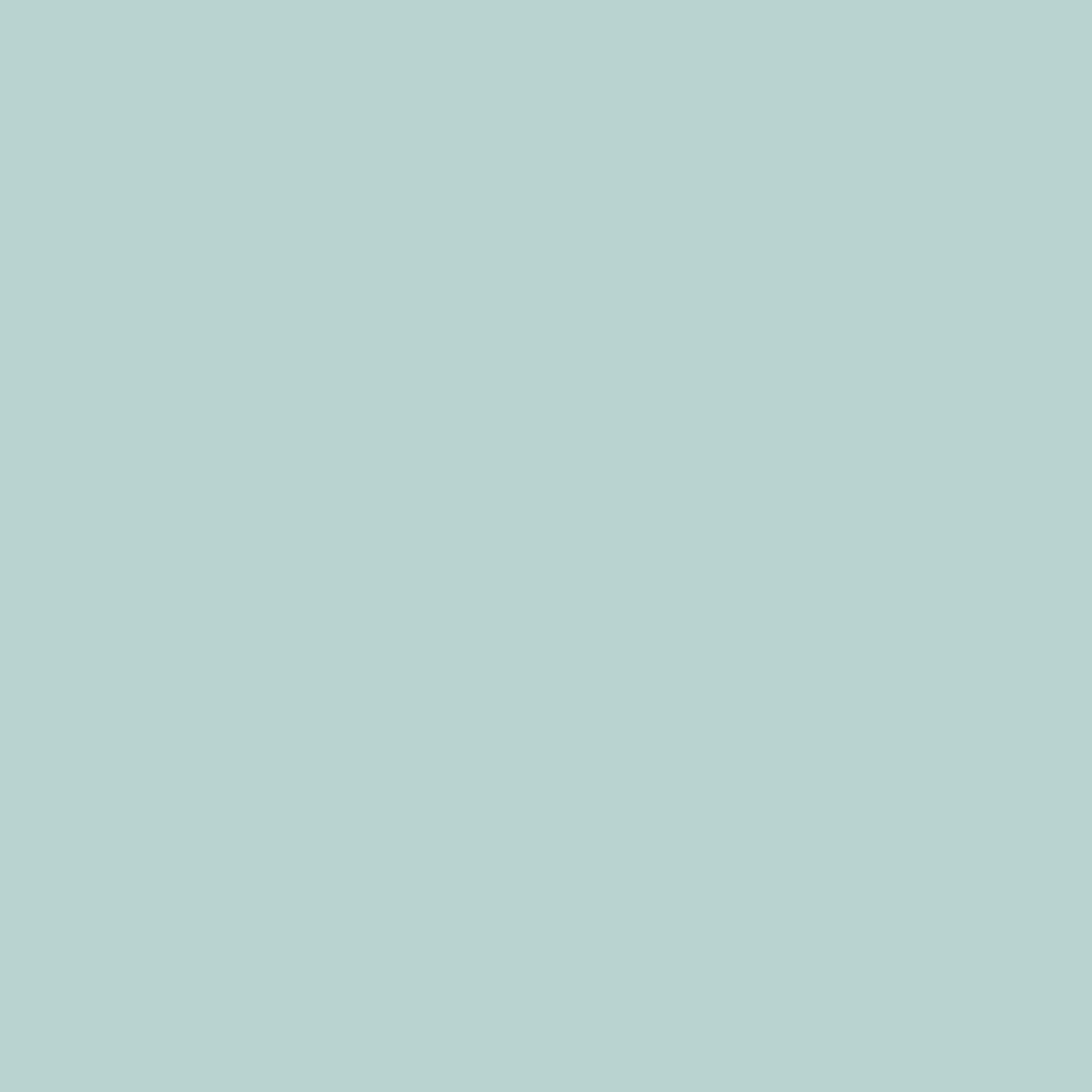 Mint Macaroon - Dulux / Armstead