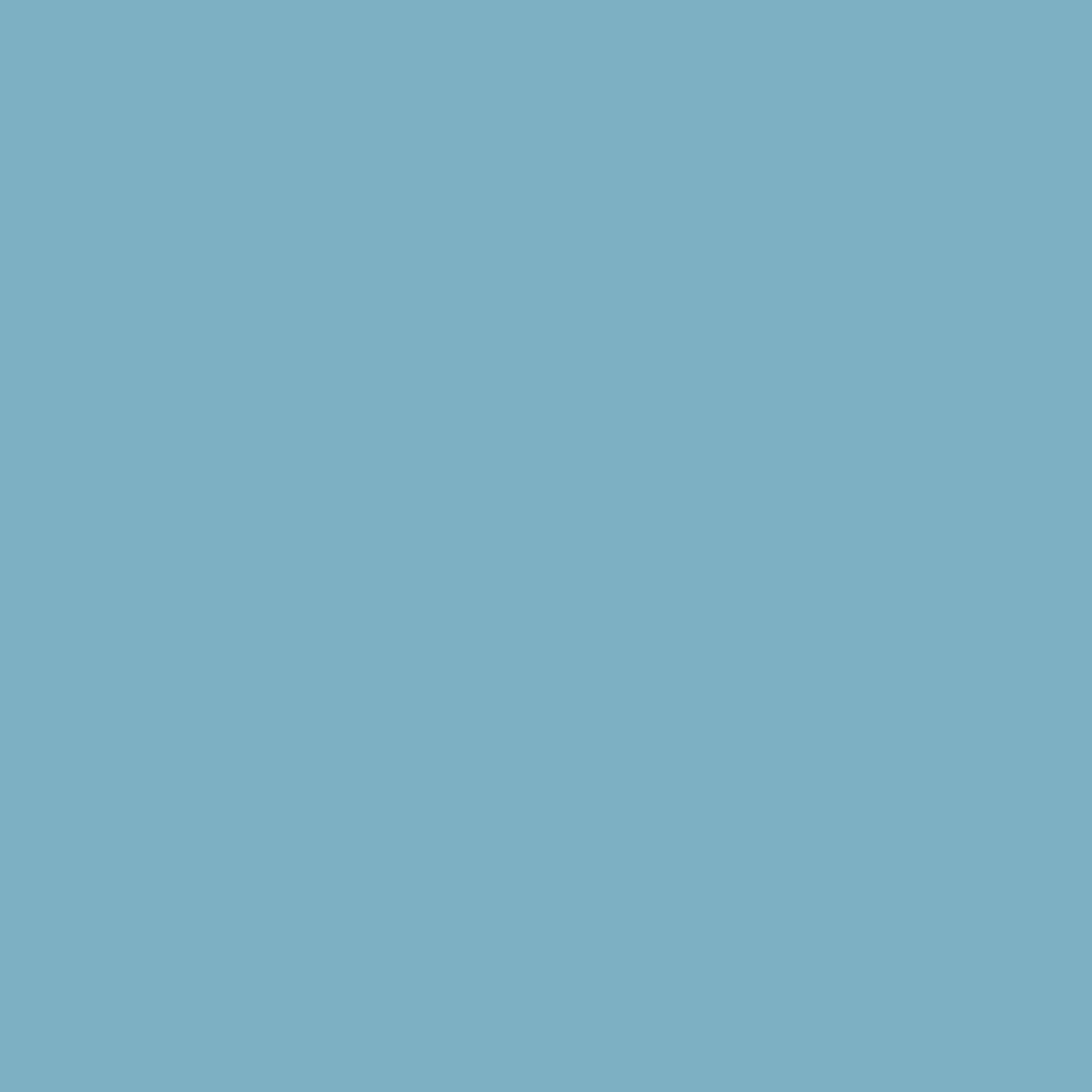 Nordic Sky - Dulux / Armstead