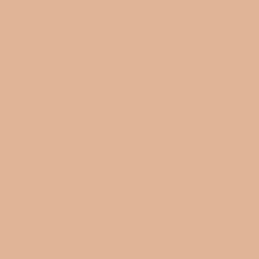 Sunbaked Terracotta - Dulux / Armstead