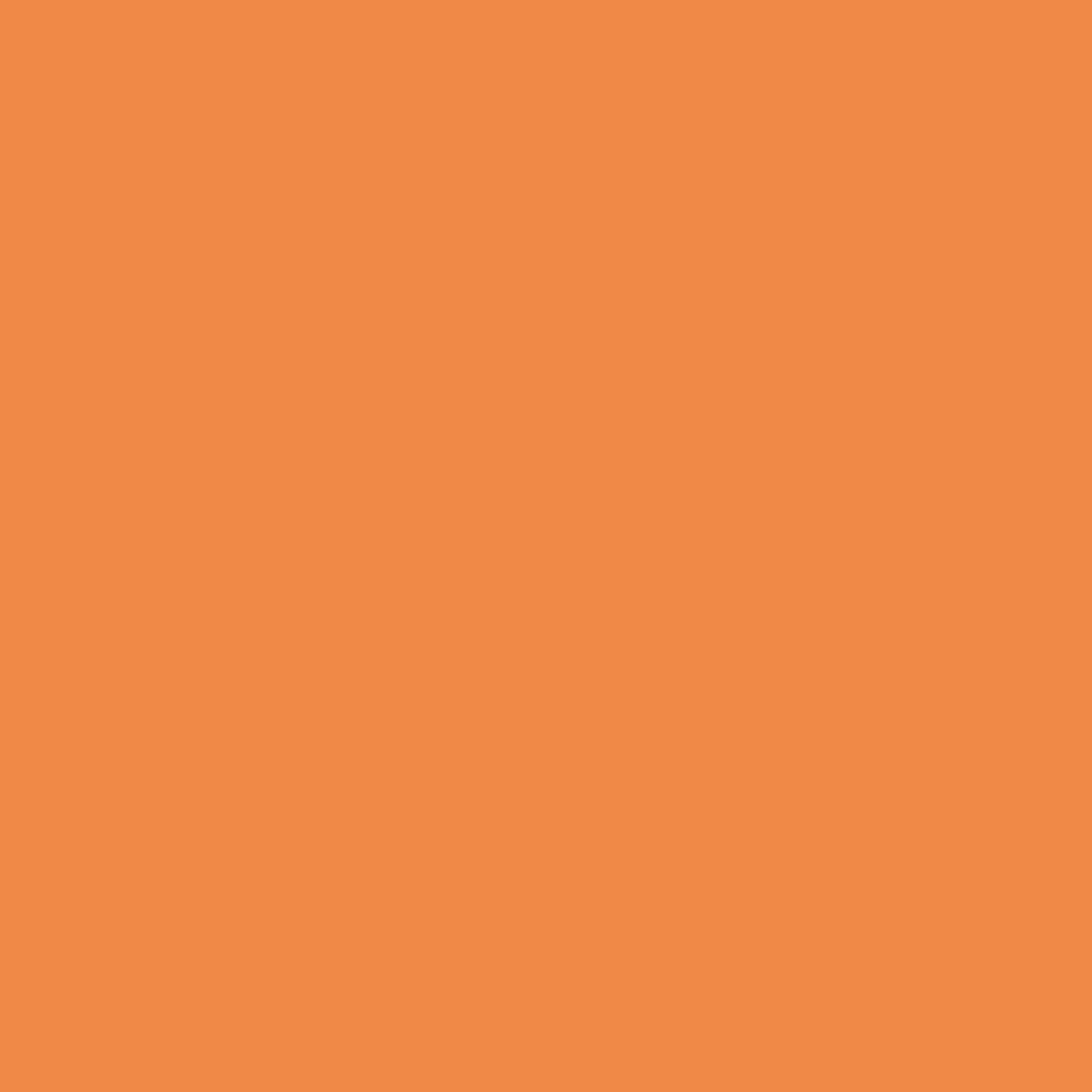 Tangerine Twist - Dulux / Armstead