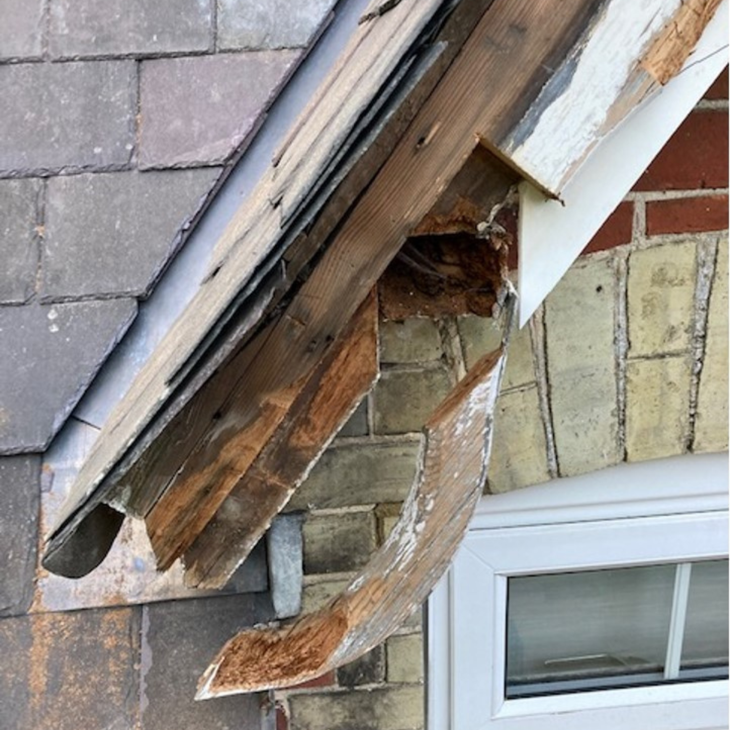 Damaged rotten roof eave with peeling paint and exposed wood, showing signs of wear and tear.
